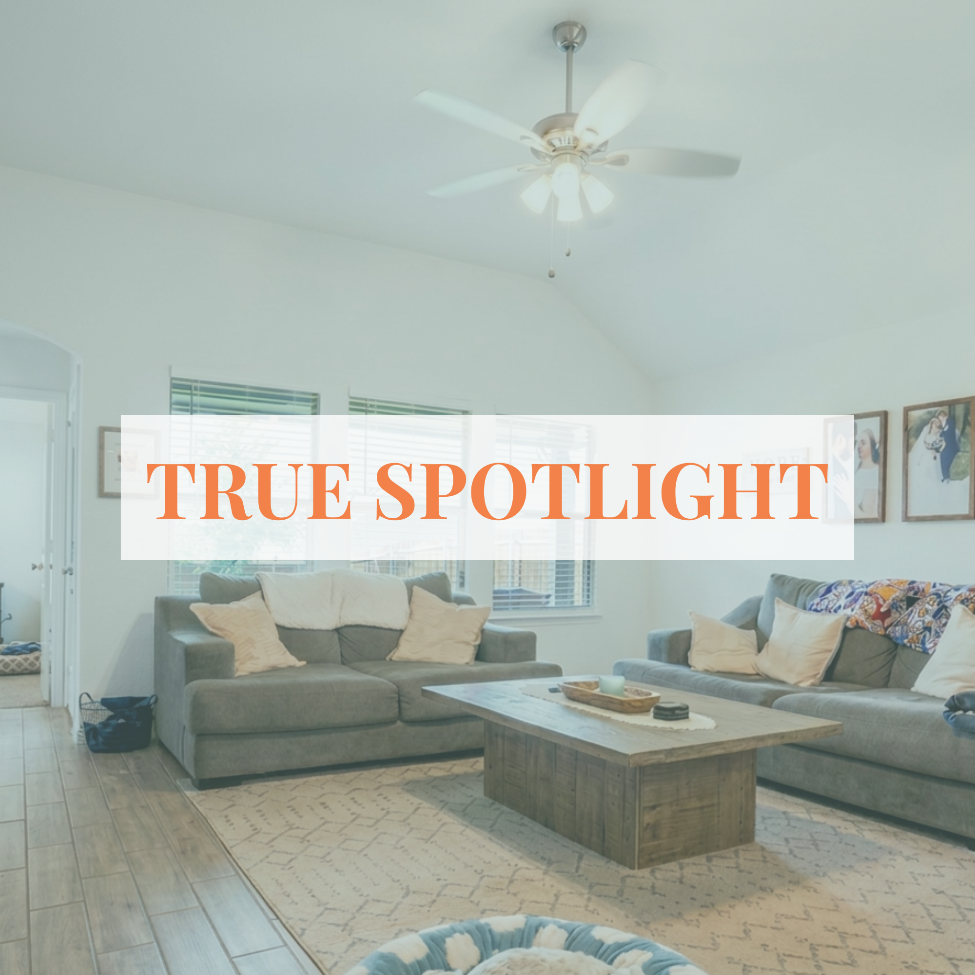 Living room with a gray couch, pillows, a wooden coffee table, a patterned rug, and framed pictures on the wall. Ceiling fan with lights is mounted on the white ceiling. Large windows with blinds let in natural light.