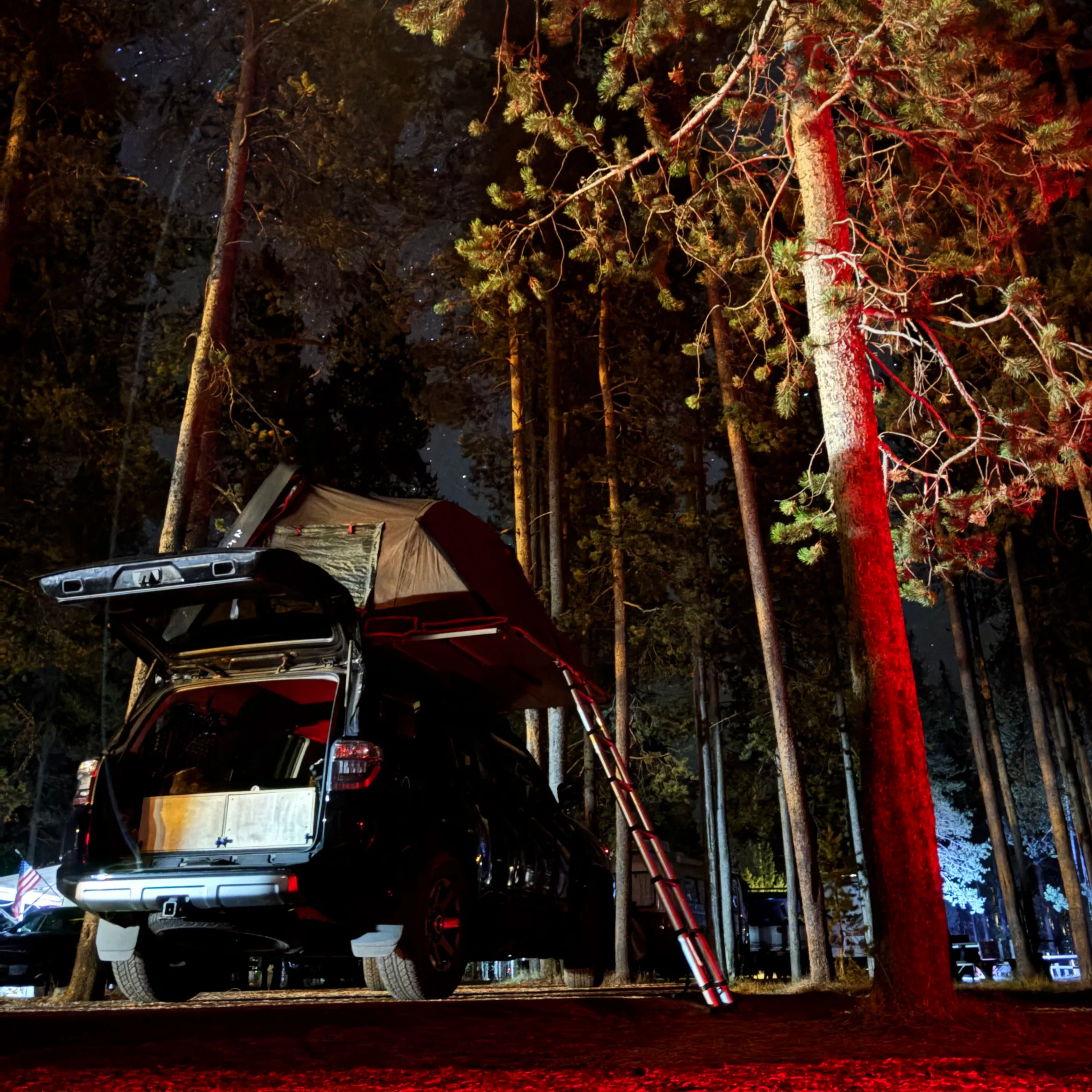 Night scene of several tall trees illuminated with red and yellow lights, with Infiniti cars parked underneath and a tent in the background.