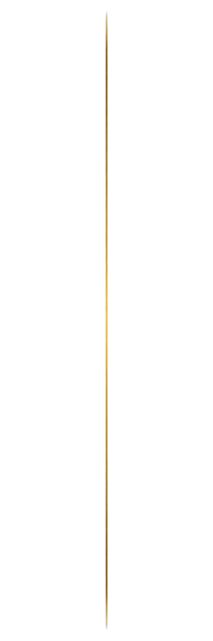 Thin warm-gold decorative accent line used throughout the Designed to Overcome, LLC website.