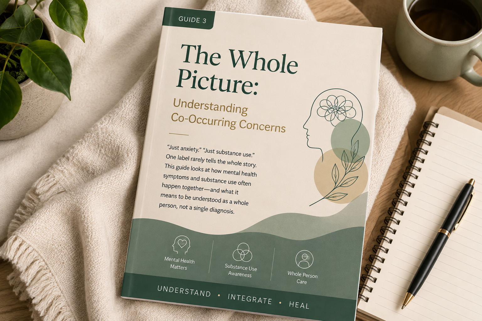 The Whole Picture: Understanding Co‑Occurring Concerns