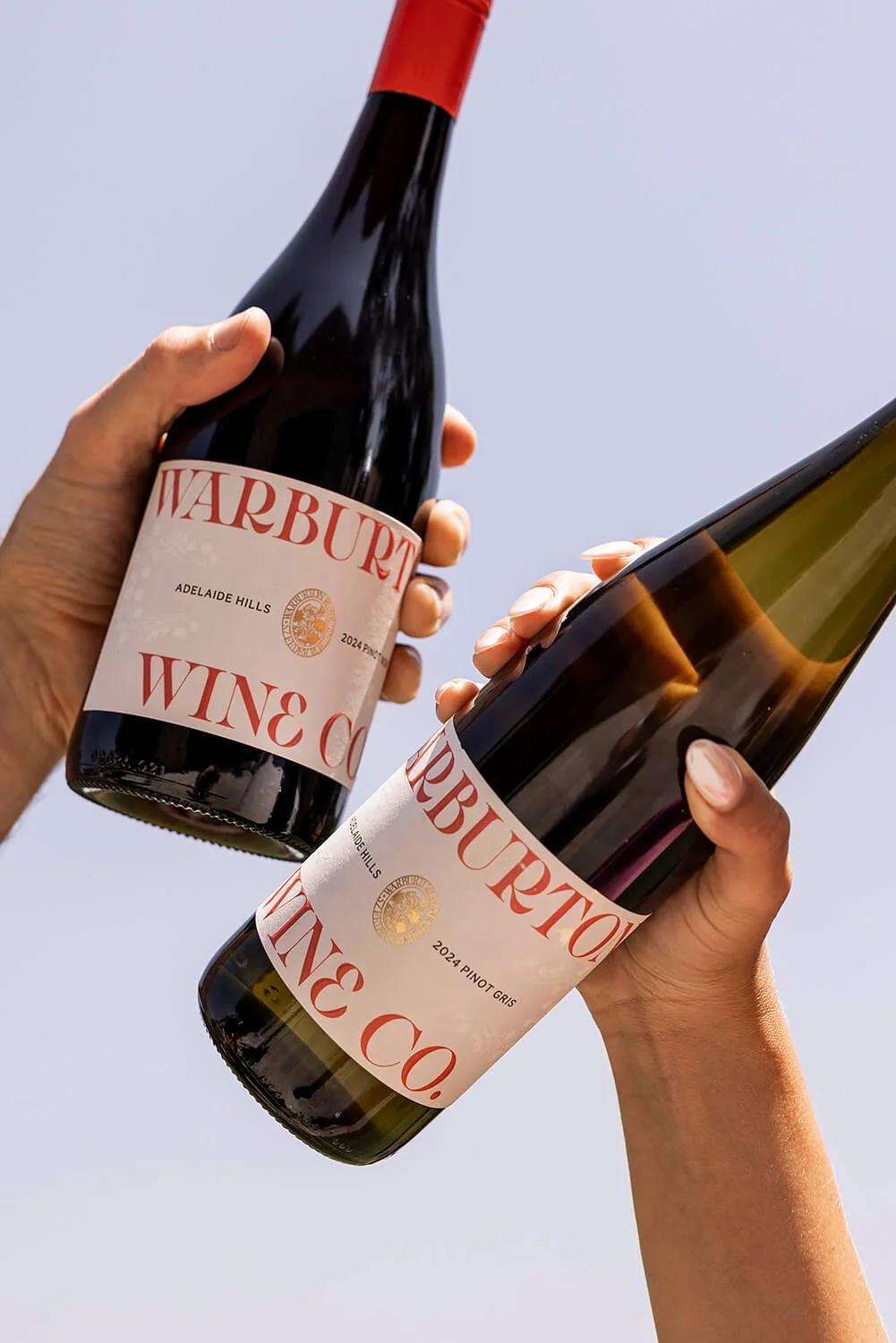 Two hands holding wine bottles in a toast, one red wine and one white wine, against a clear sky.