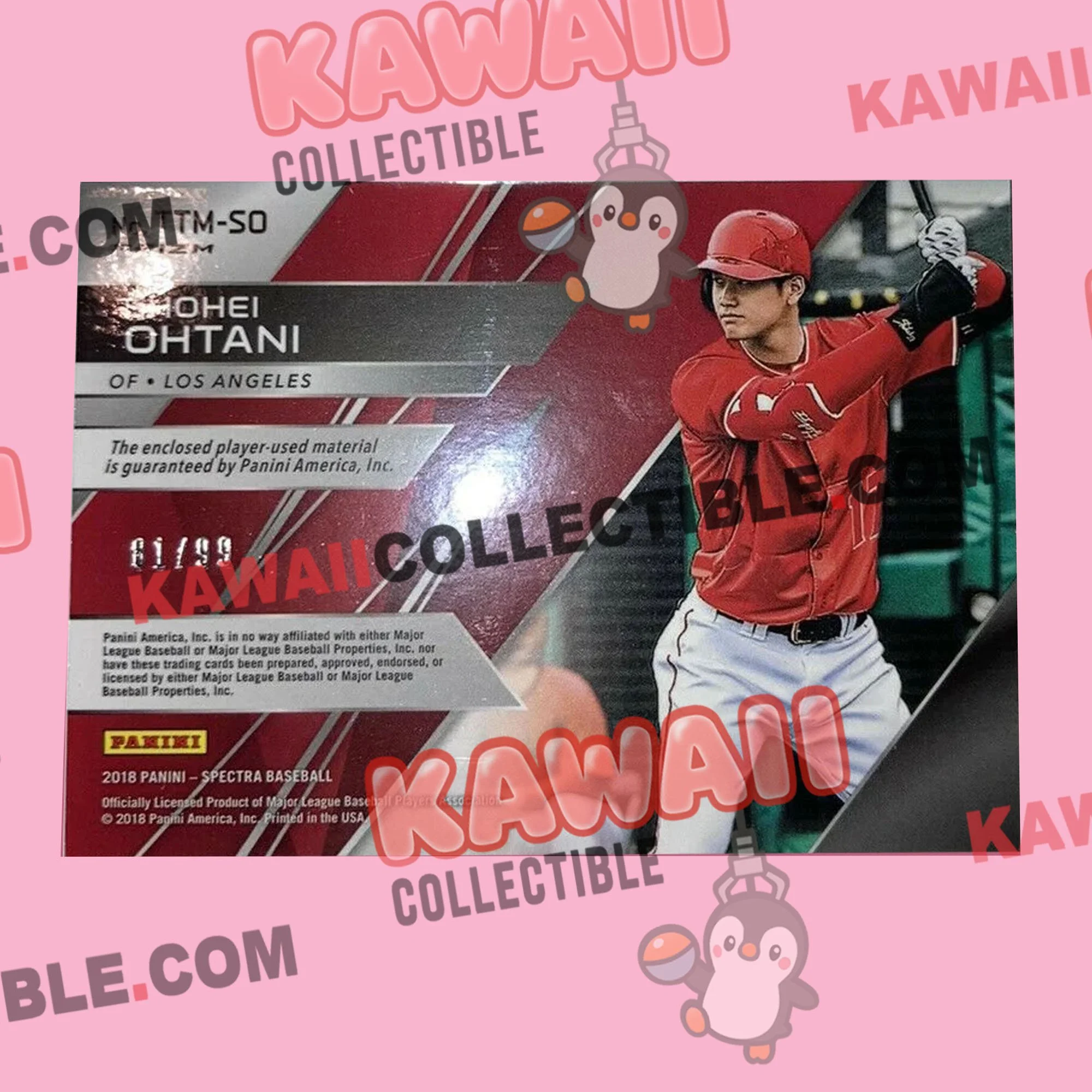 OTANI 6.jpg