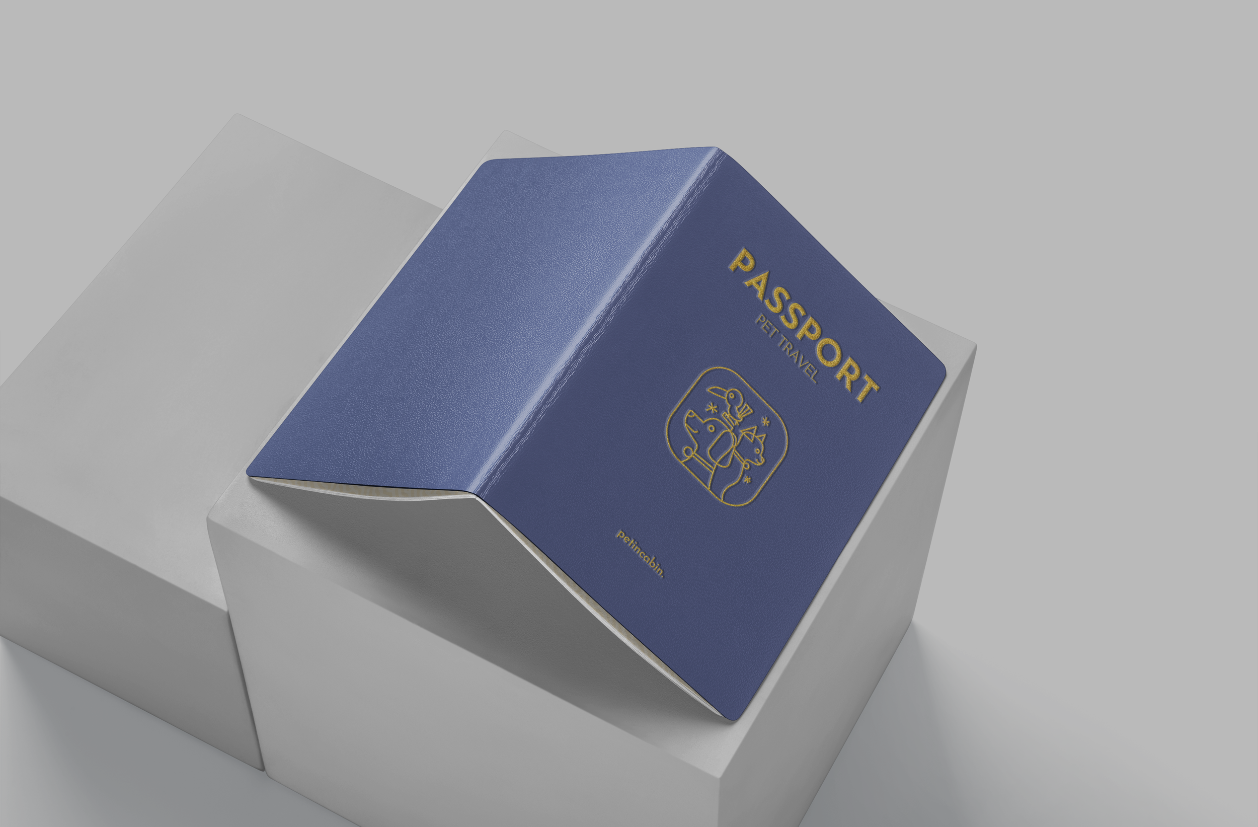 mockup_3.png (Copy)