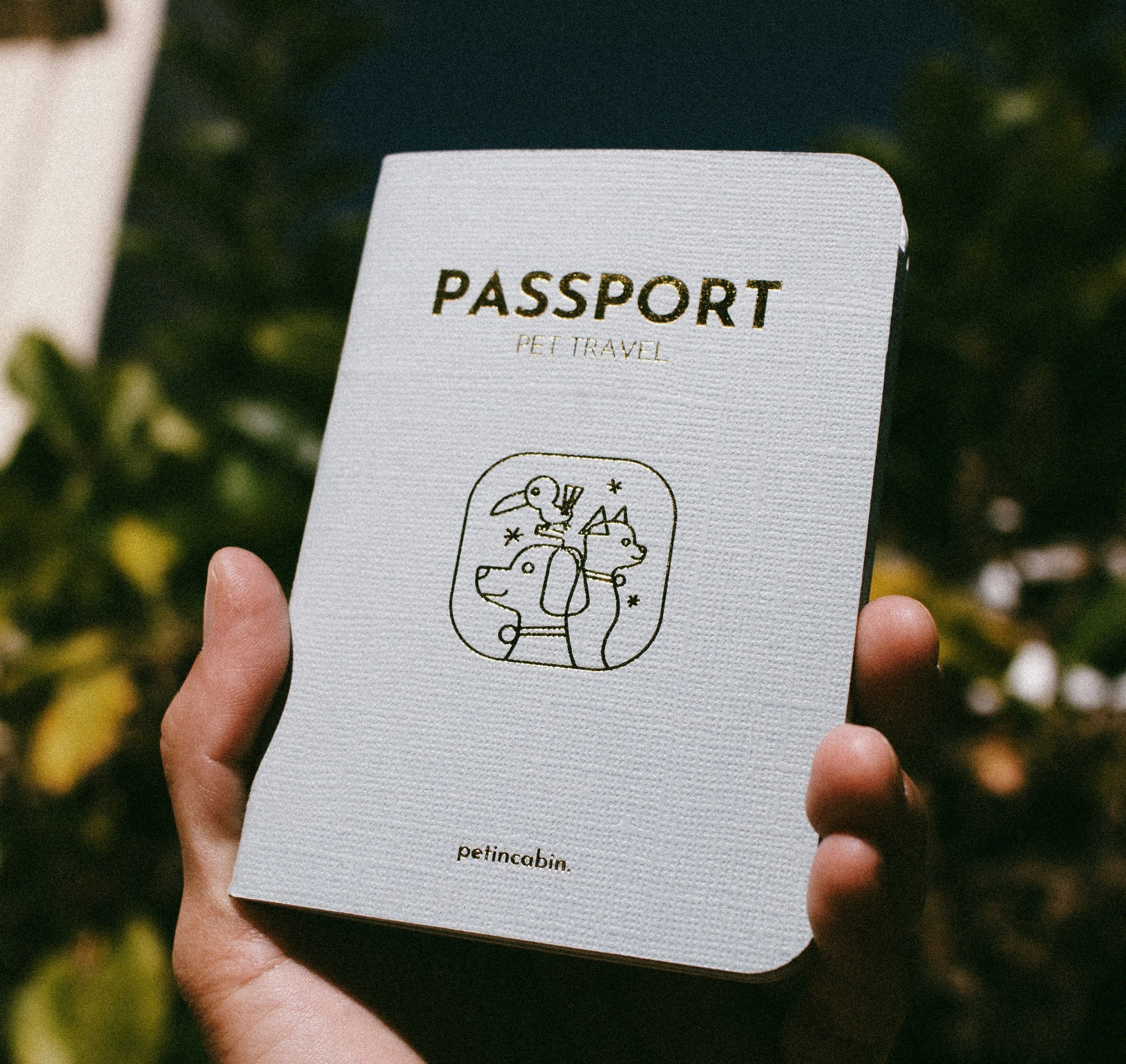 passport that is the same size as passport for humans but for dogs or cats and its vaccine and health record to make travel and visits to dog grooming easy.