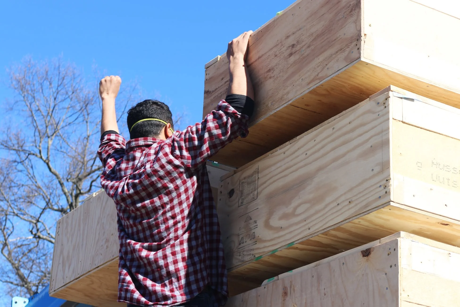 A person wearing a red plaid shirt and black glasses is building a wooden structure outdoors under a clear blue sky, with leafless trees in the background.