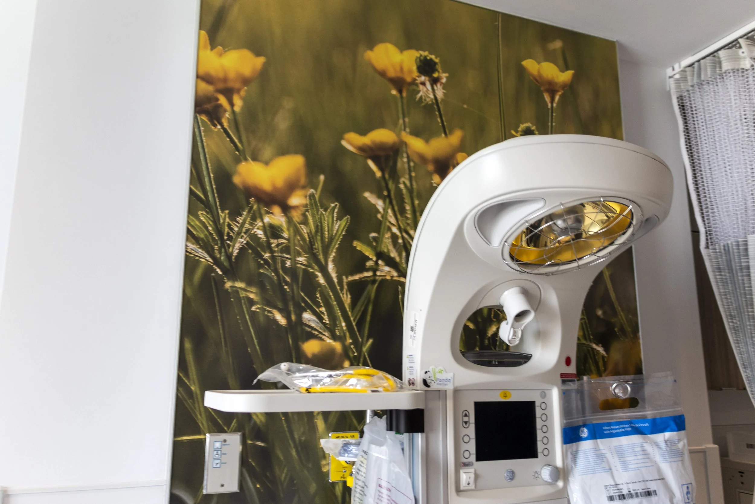 diane-krauthamers-photography-on-the-wall-of-cedar-hill-regional-medical-center_54487934546_o.jpg