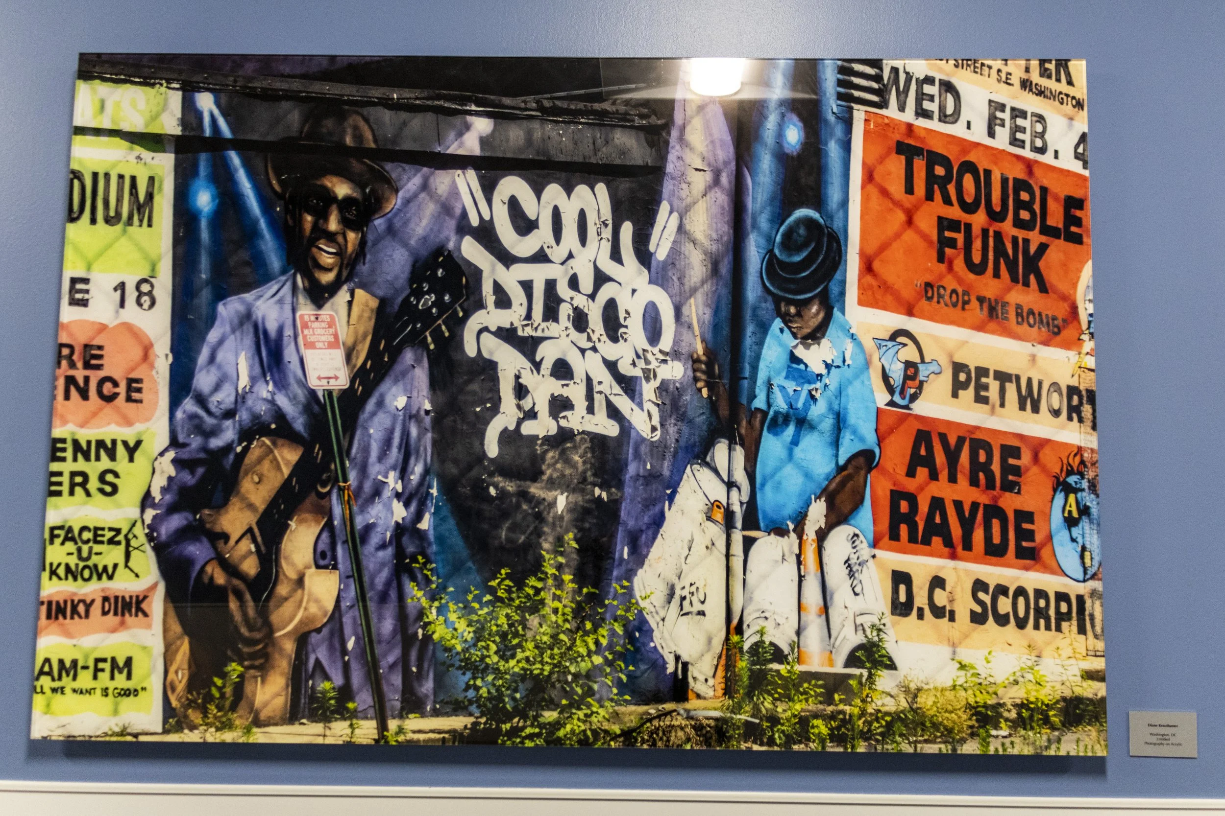 diane-krauthamers-photography-on-the-wall-of-cedar-hill-regional-medical-center_54488215358_o.jpg