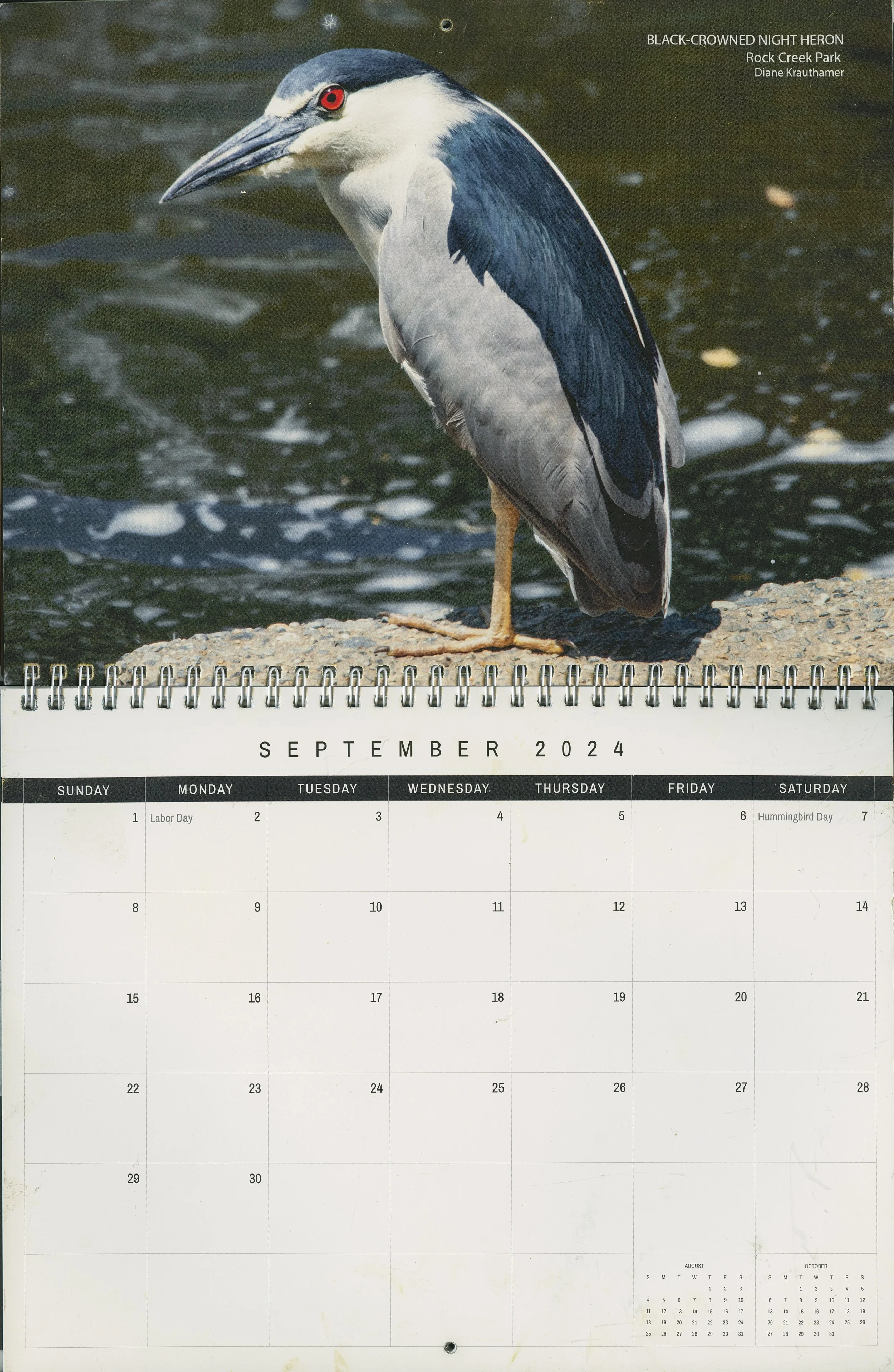 2024-2025 DC Bird Alliance Spring Migration Calendar