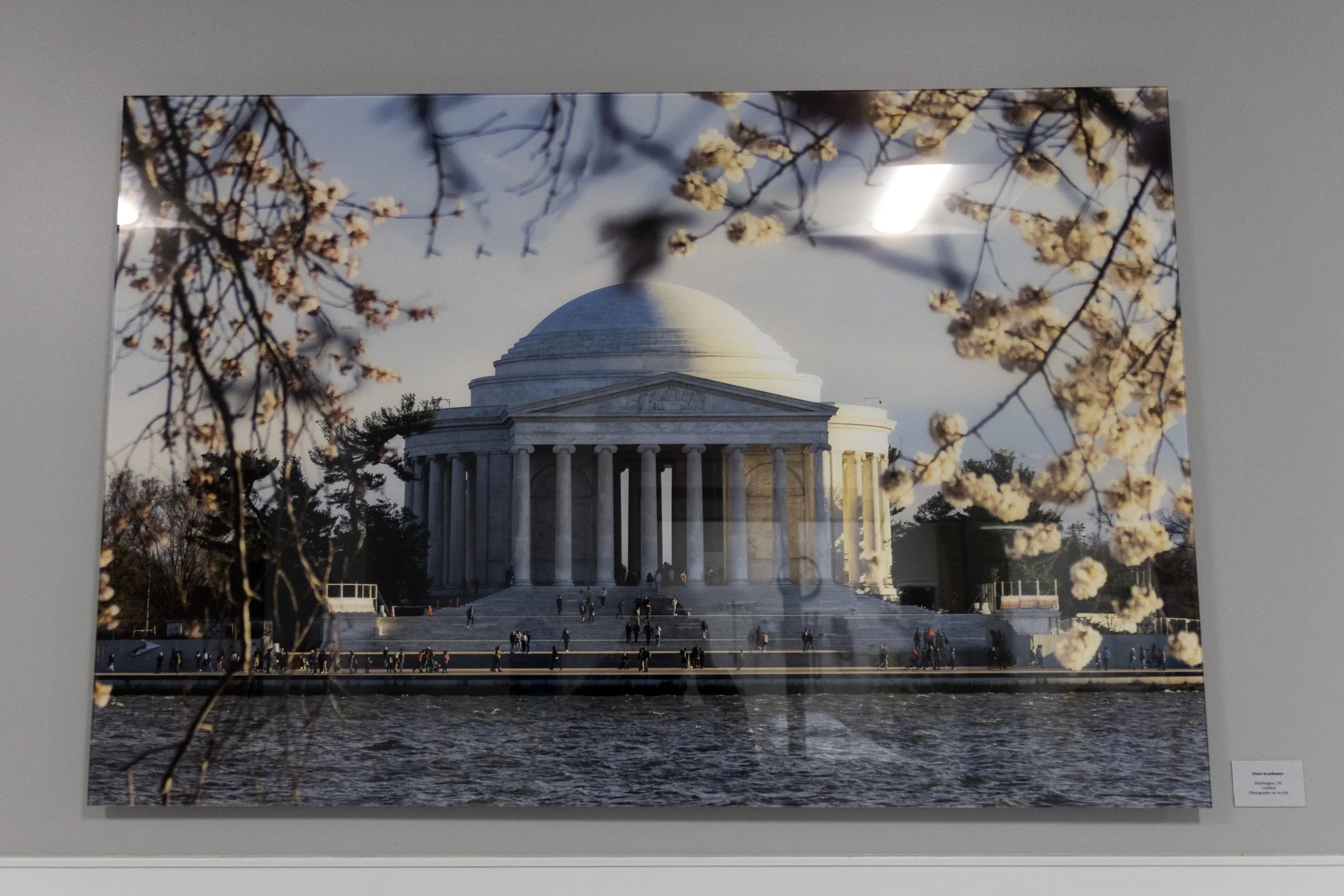 diane-krauthamers-photography-on-the-wall-of-cedar-hill-regional-medical-center_54487934416_o.jpg