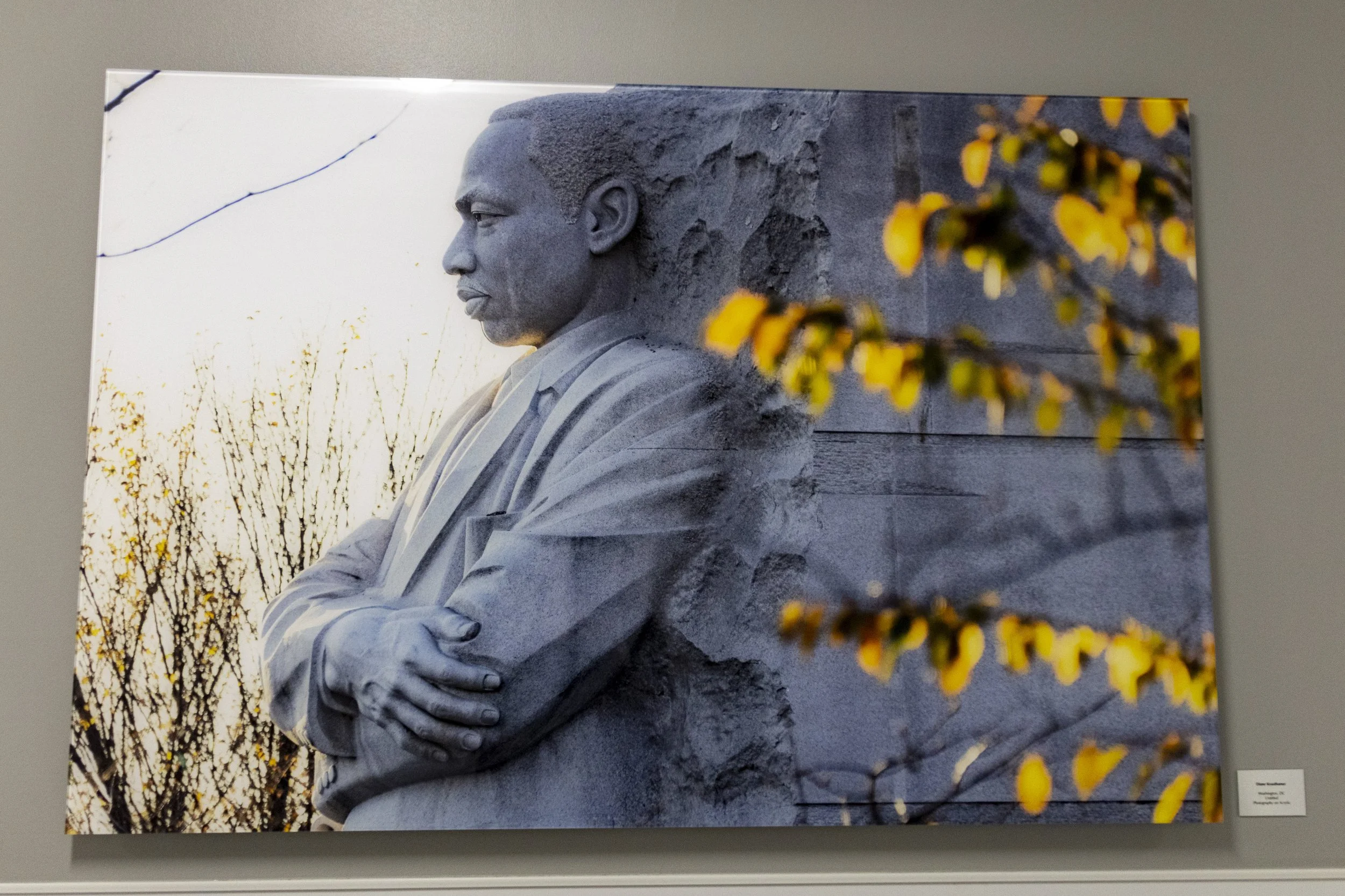diane-krauthamers-photography-on-the-wall-of-cedar-hill-regional-medical-center_54487933666_o.jpg