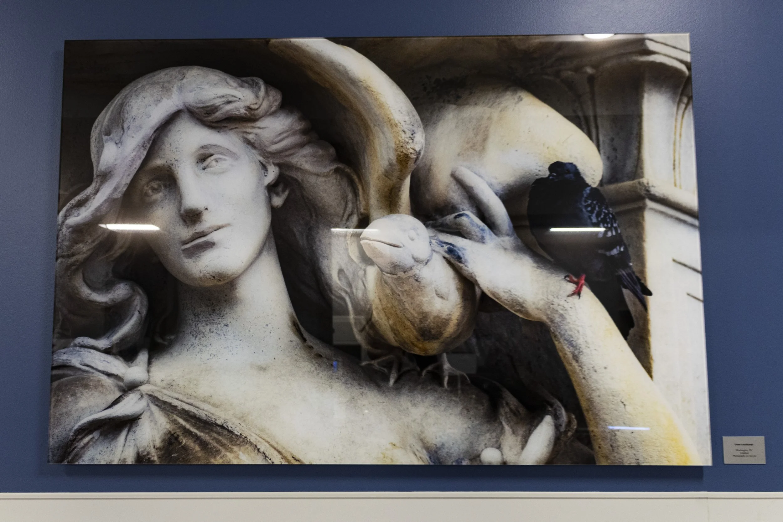 diane-krauthamers-photography-on-the-wall-of-cedar-hill-regional-medical-center_54488288955_o.jpg