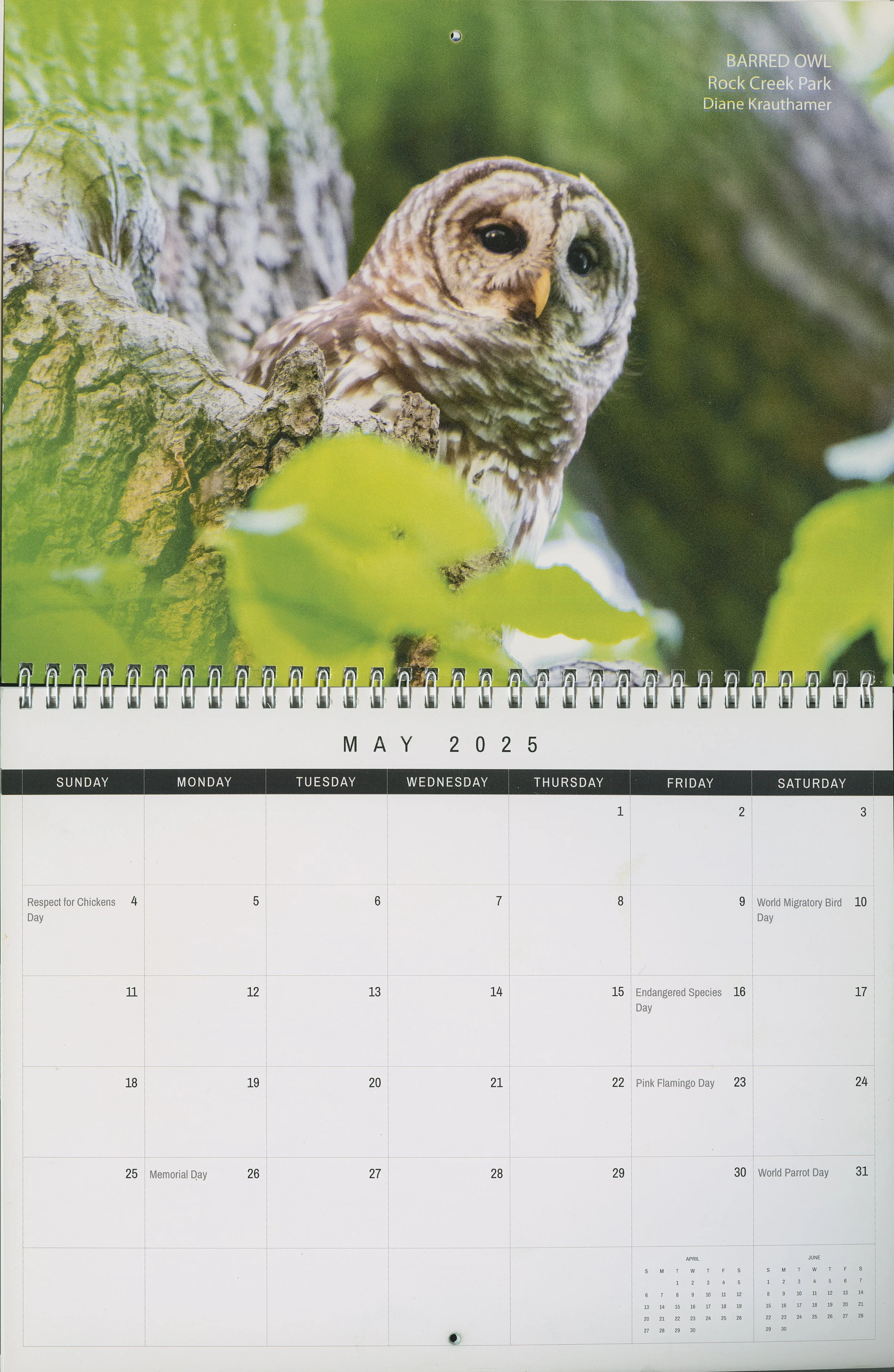 2025-2026 DC Bird Alliance Spring Migration Calendar