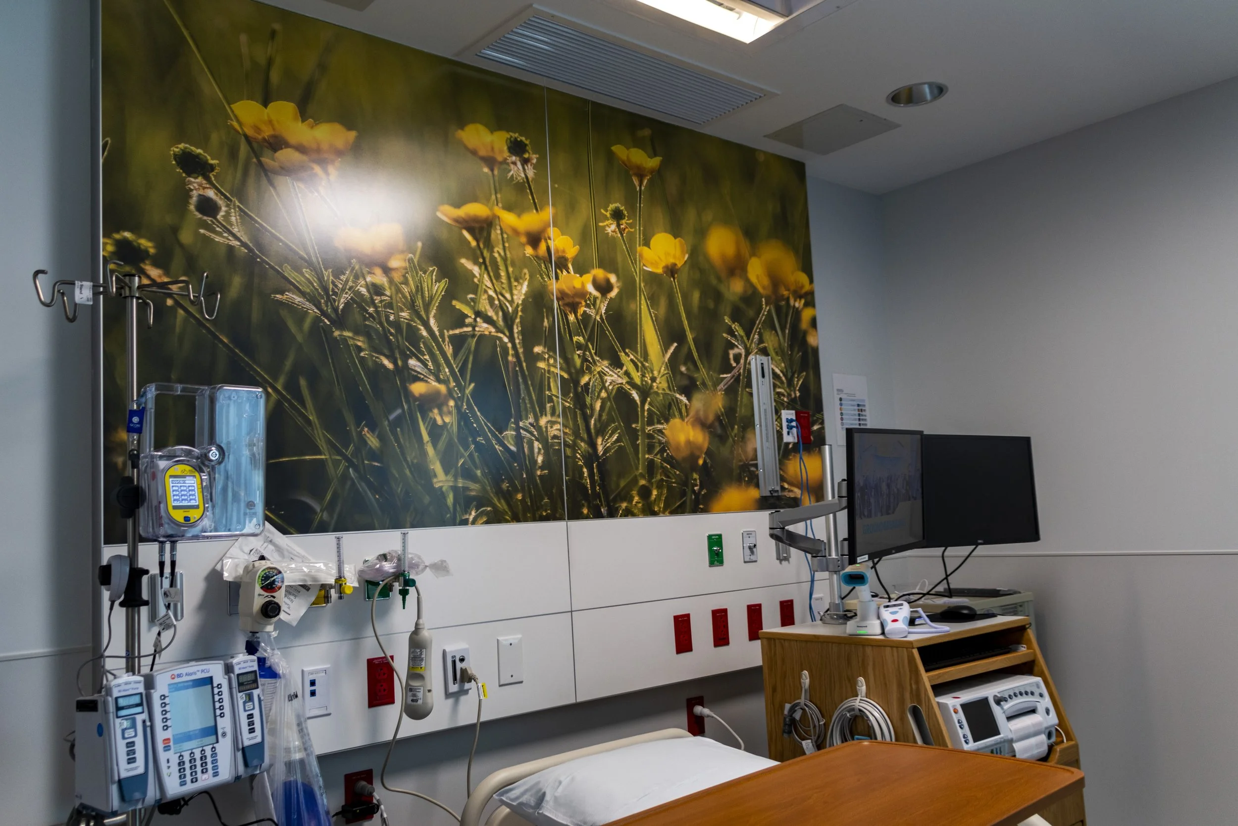 diane-krauthamers-photography-on-the-wall-of-cedar-hill-regional-medical-center_54488136924_o.jpg
