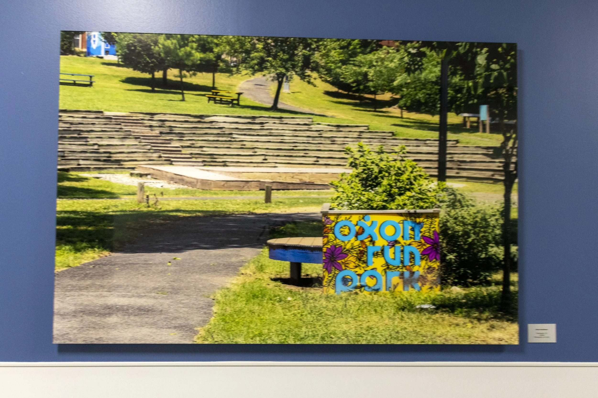 diane-krauthamers-photography-on-the-wall-of-cedar-hill-regional-medical-center_54487934206_o.jpg