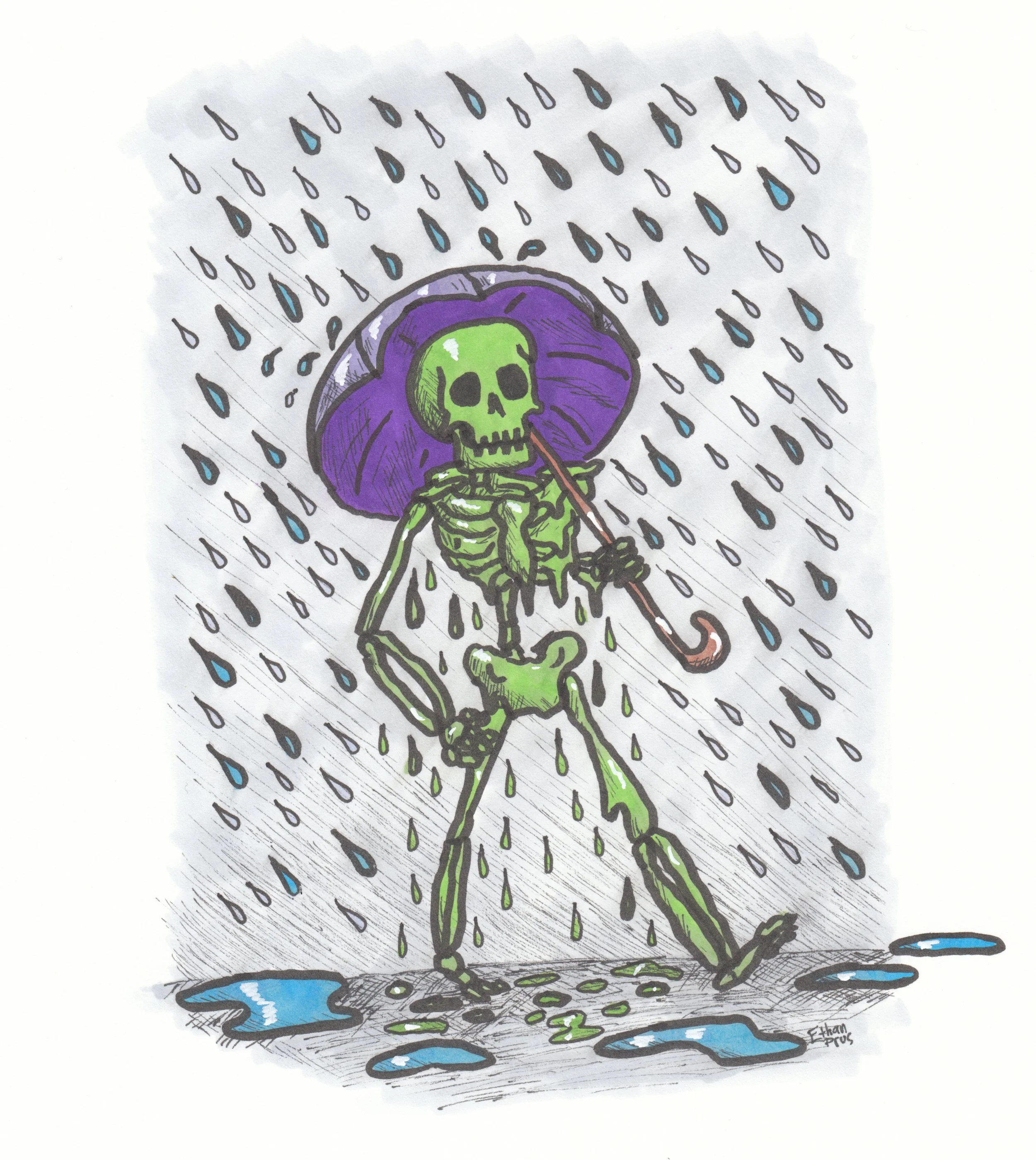 storm.jpg
