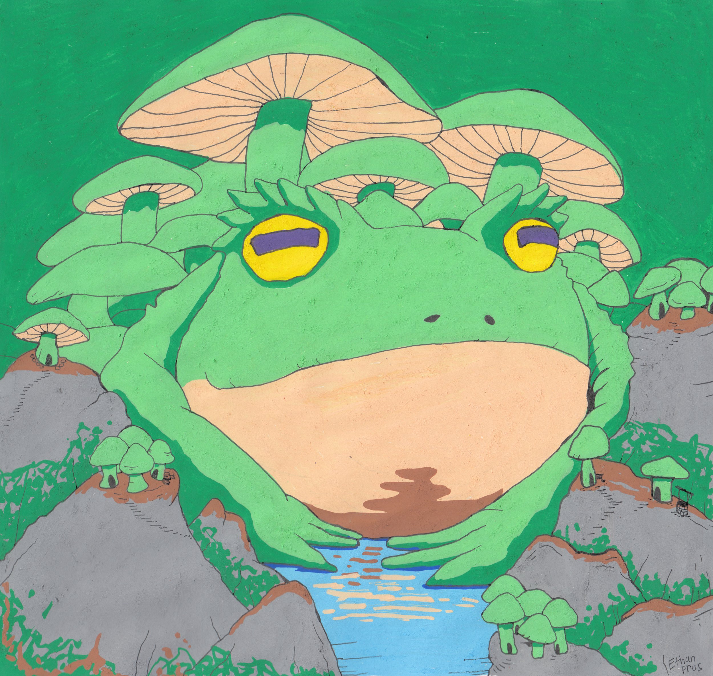 Frog.jpg