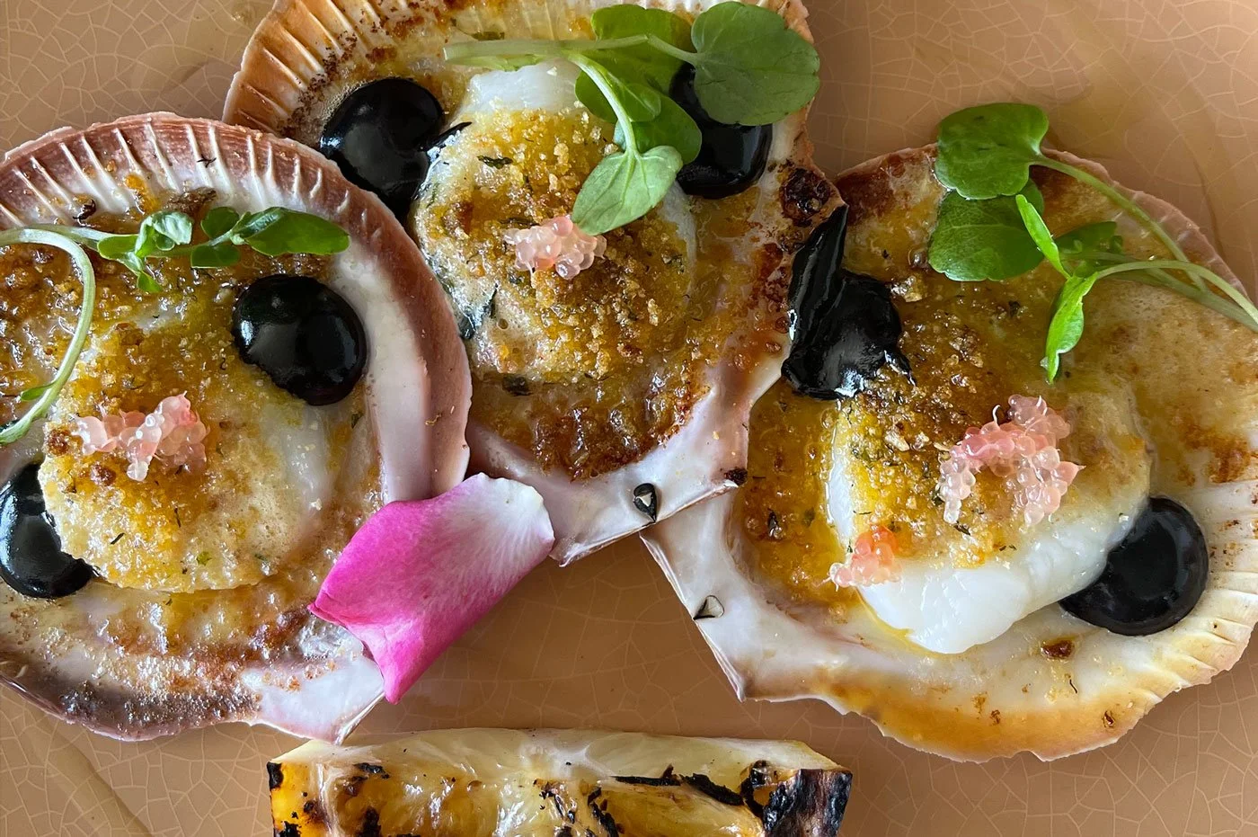 Scallops, Tweed River House