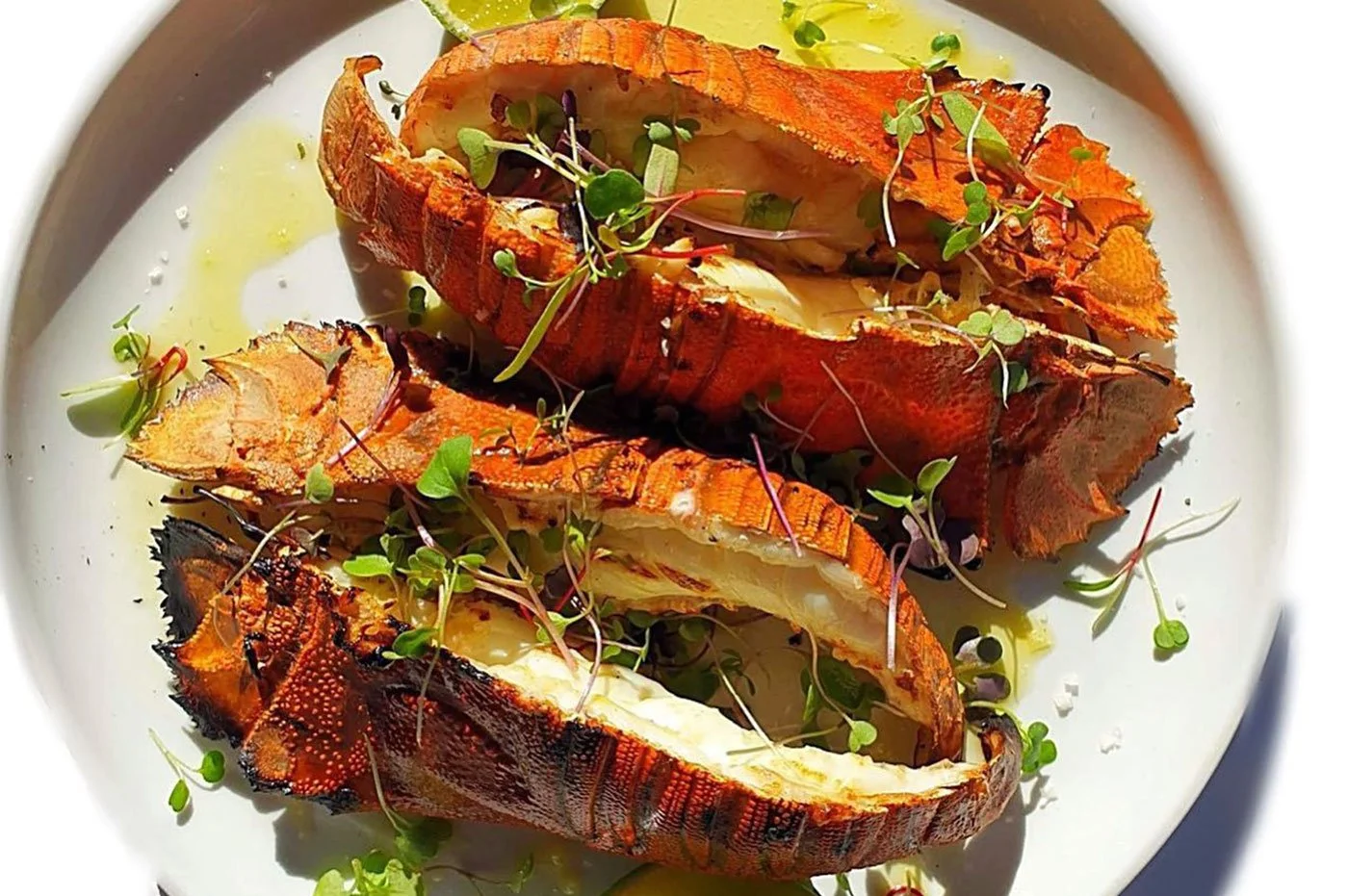 Lobster, Taverna Restaurant
