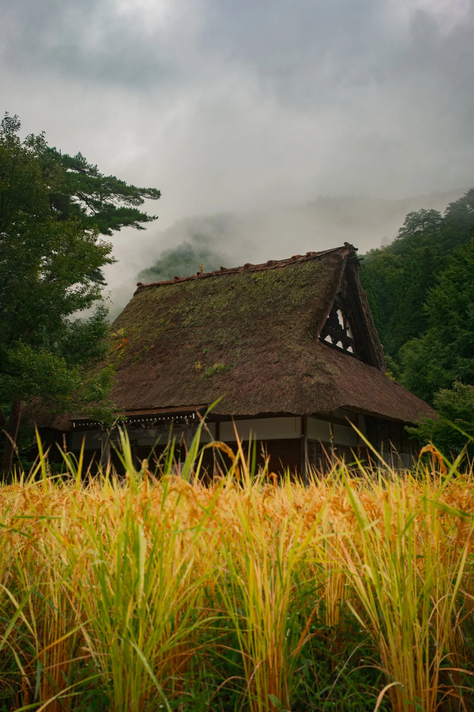 Traditional thatched roof building surrounded by lush green trees and misty mountains with a cloudy sky.