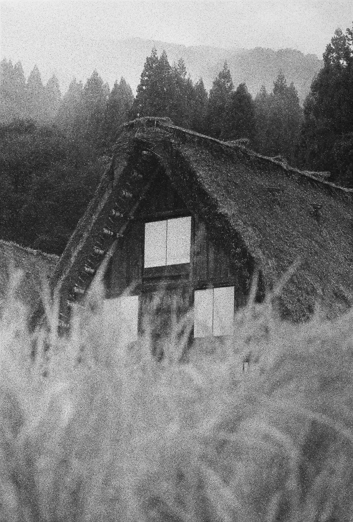 analog_-017.jpg