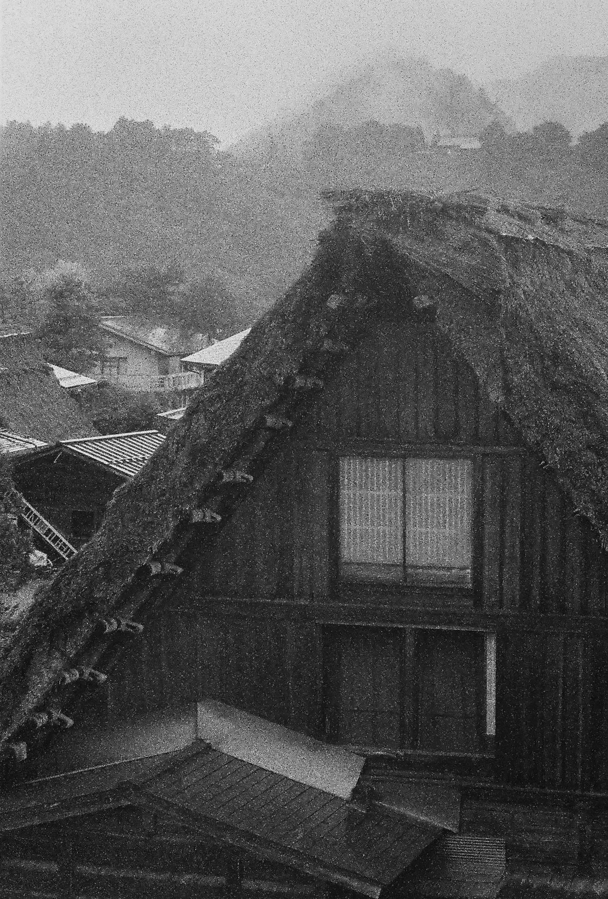 analog_-016.jpg
