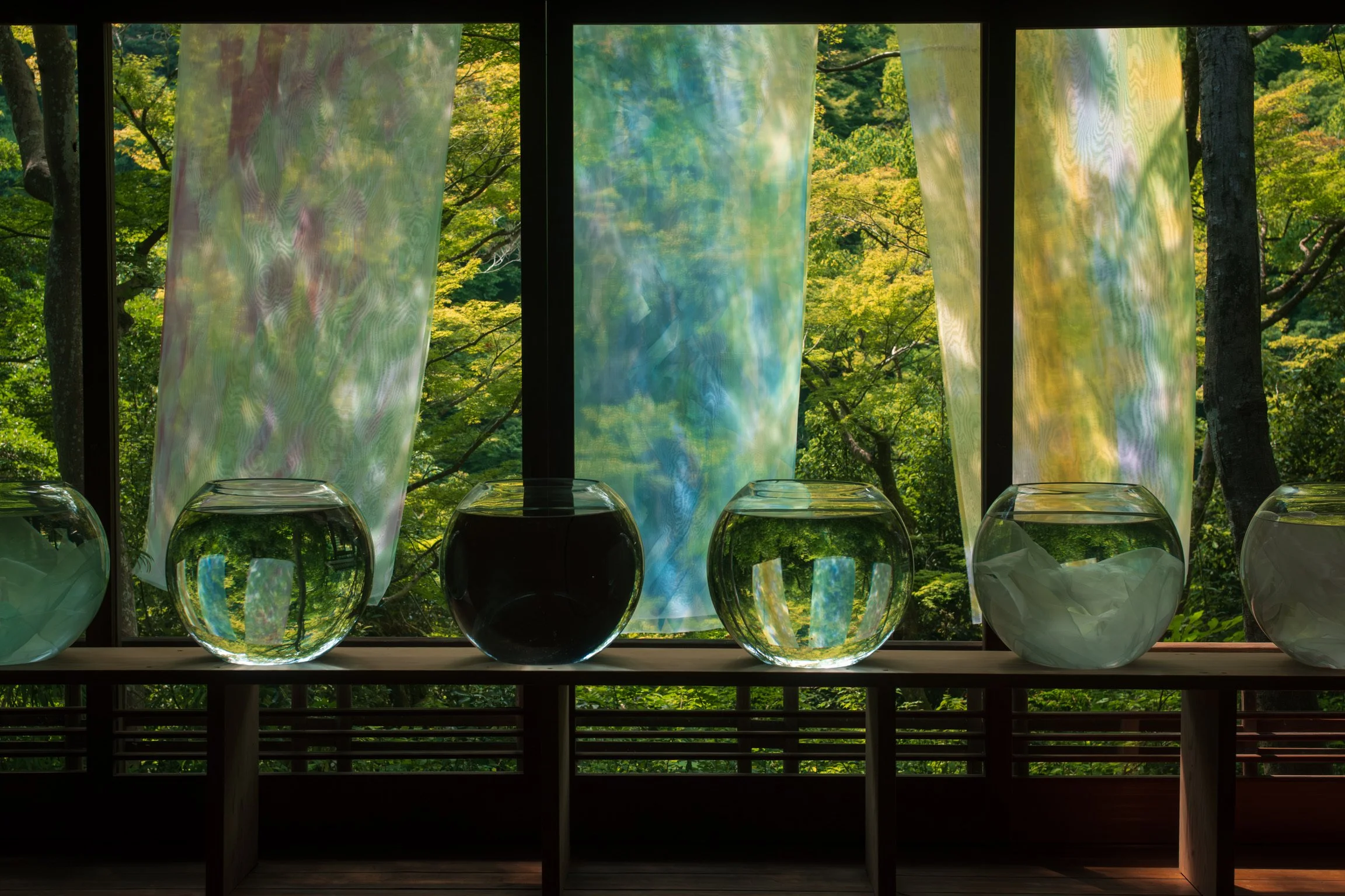 Glass vases on a windowsill with green trees and sunlight outside, creating a bright, natural scene.
