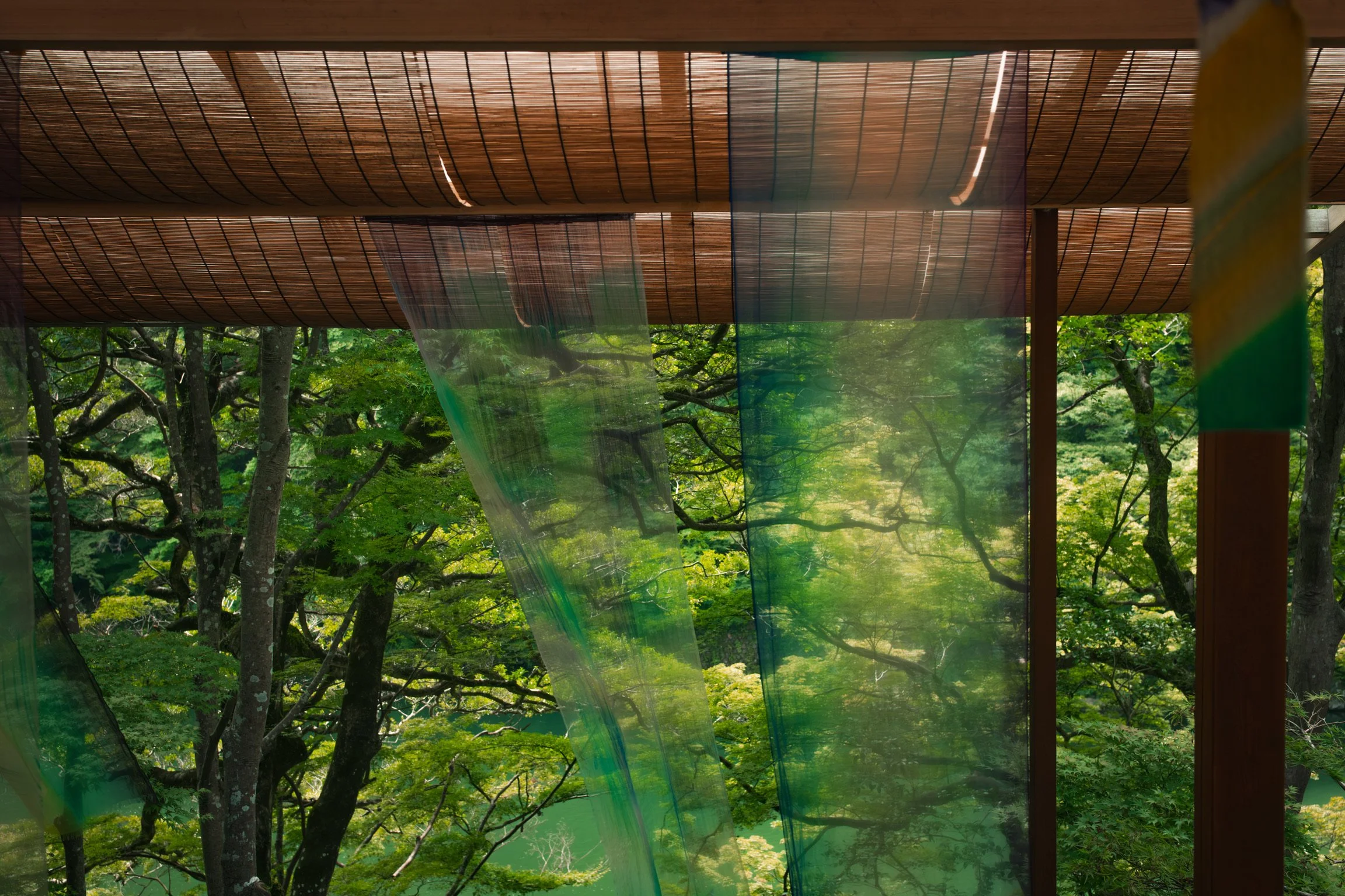 Interior view of a structure with a wooden roof, fabric or plastic panels hanging from it, surrounded by green trees outside.
