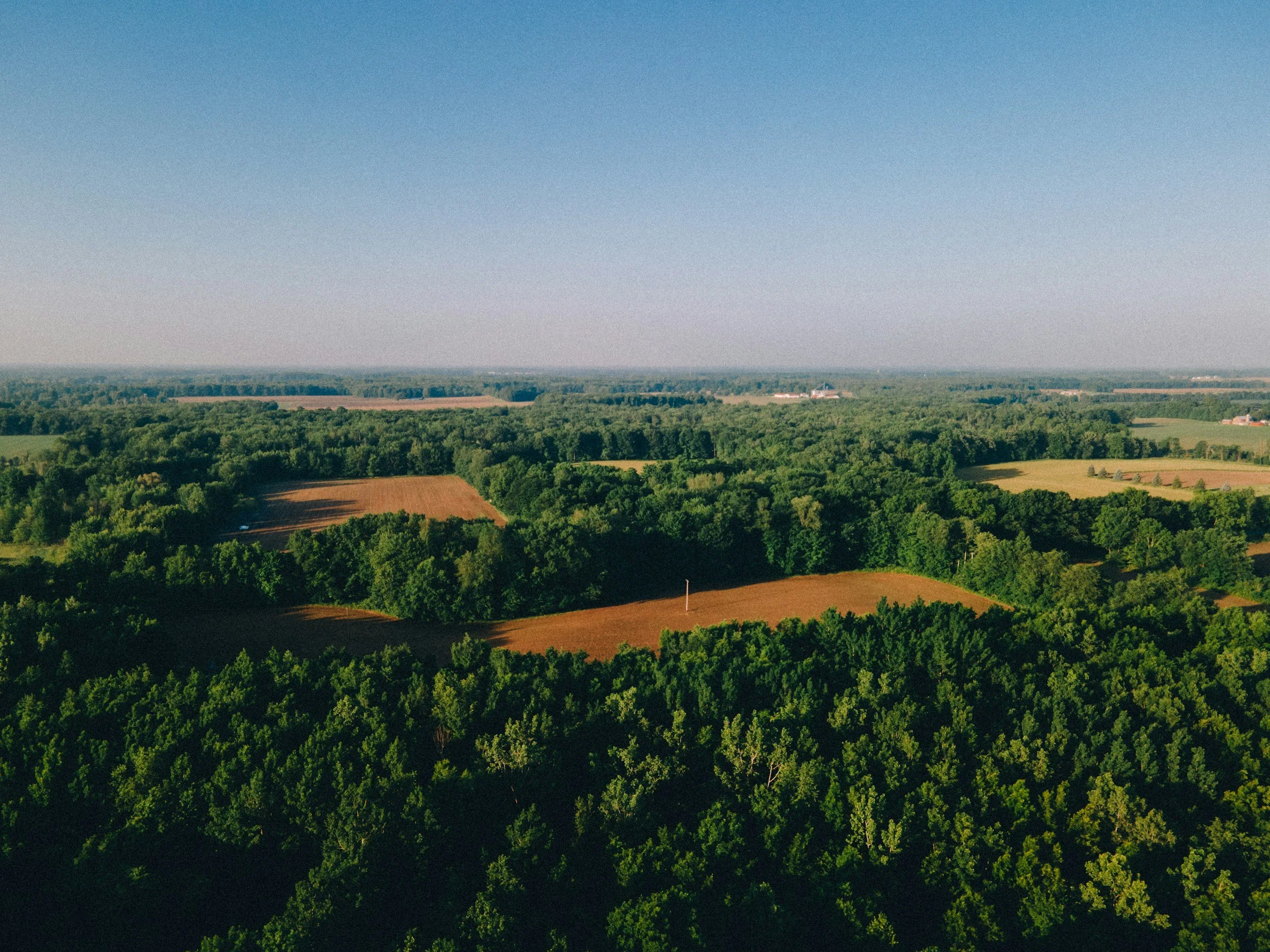 A vast landscape of green forest with patches of farmland and some distant buildings under a clear blue sky.