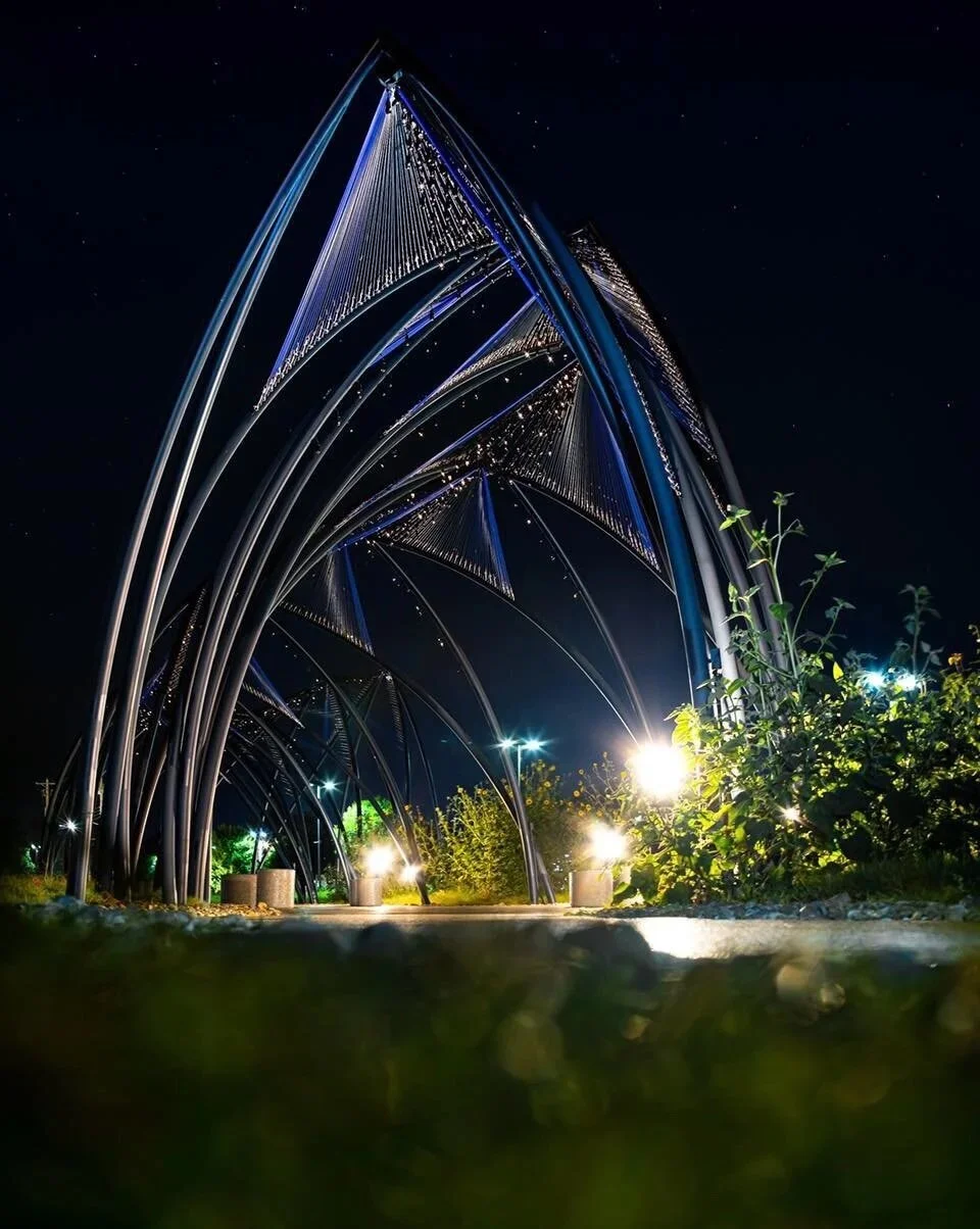 Night view of an illuminated modern architectural structure with curved metal arches and string lights, with bushes and pathway in the foreground.