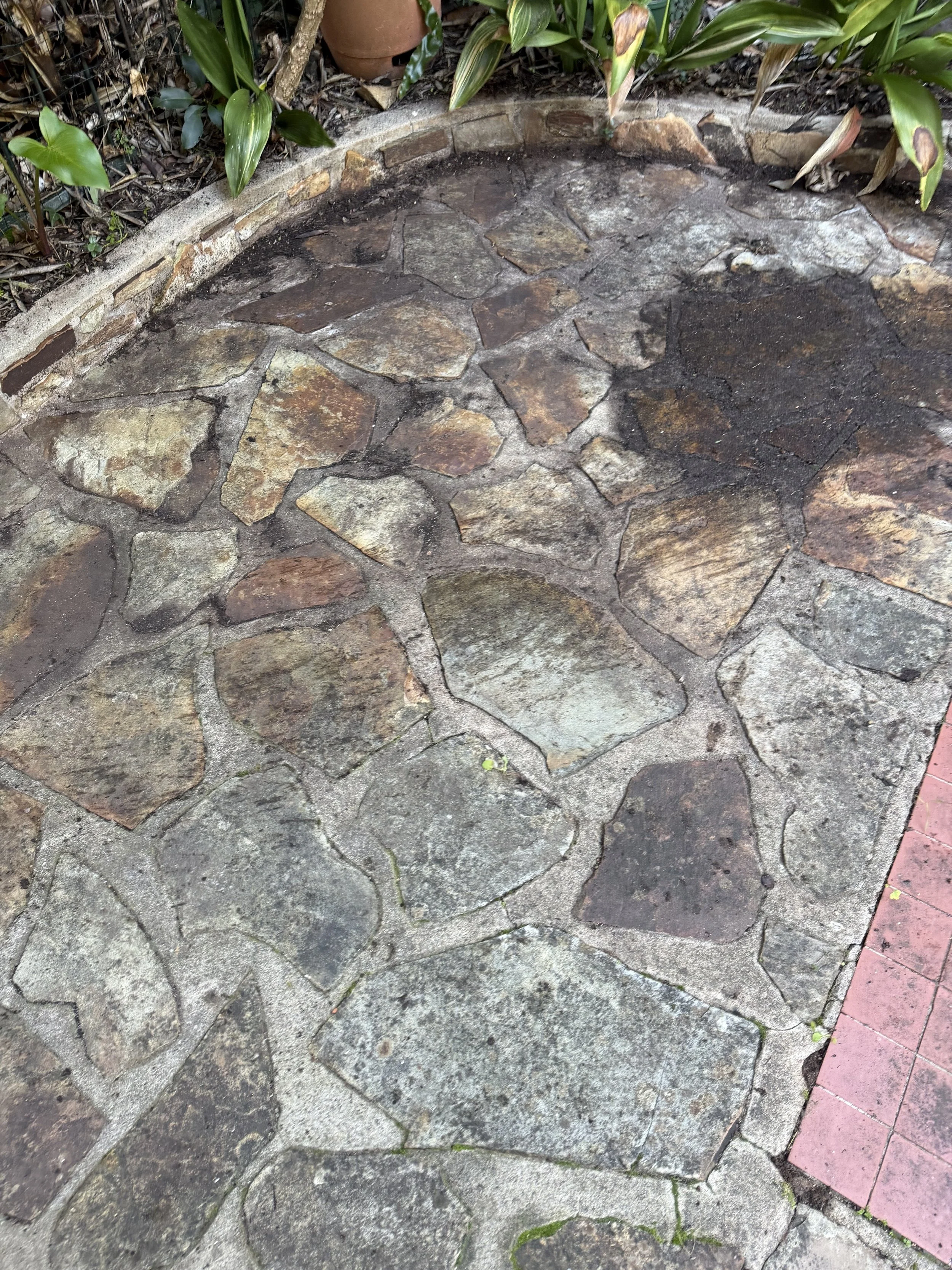 A dirty, moss laden stone pathway with uneven, multicolored stones bordered by a concrete edge.