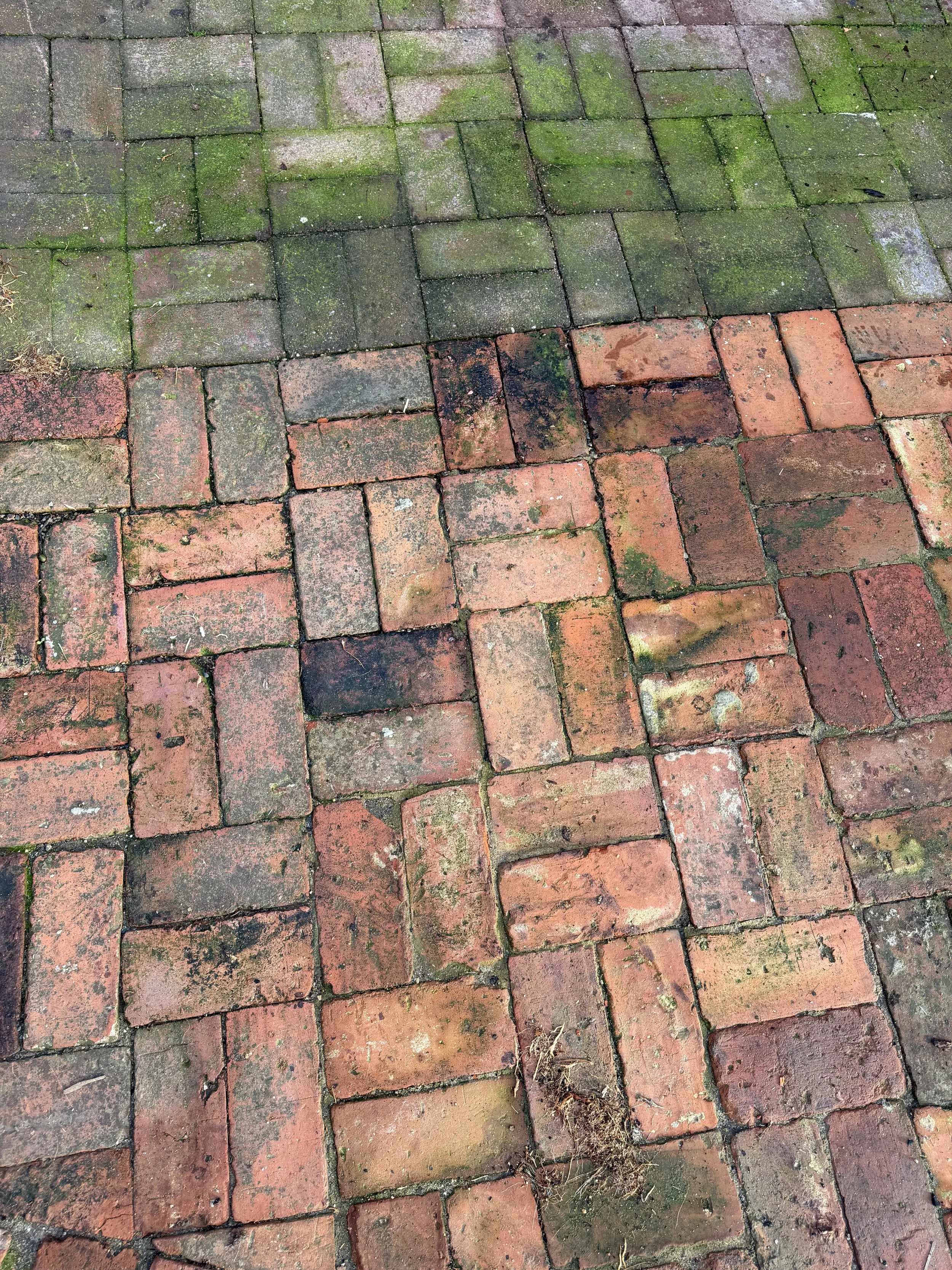 A close-up view of a brick pavement with green moss, algae, and dirt growing between the bricks. The bricks are arranged in a pattern with some discoloration and weathering.