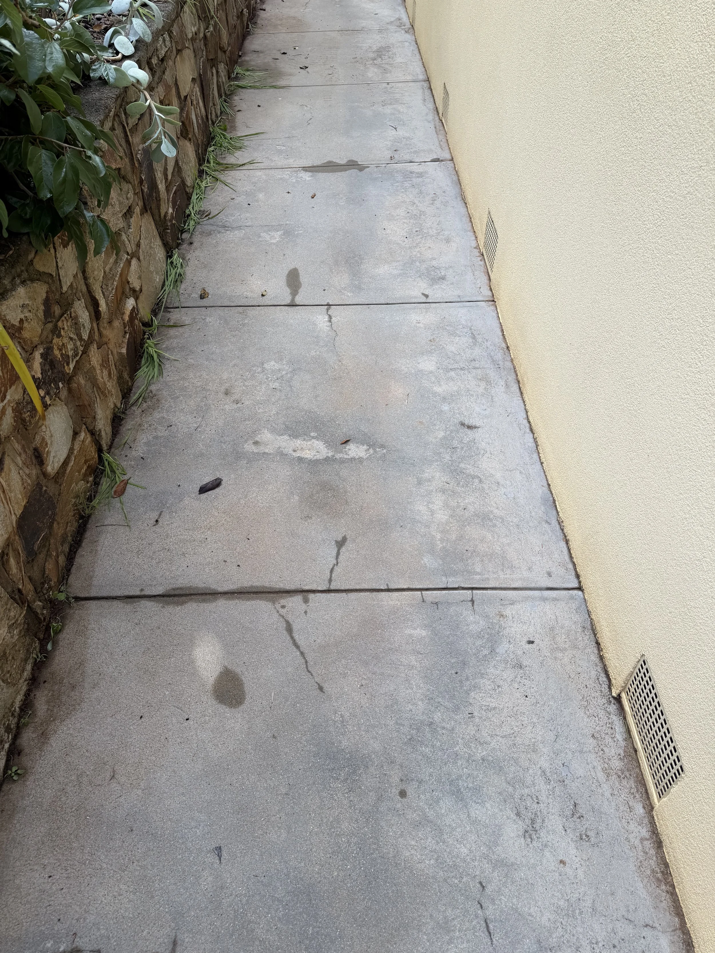 Clean concrete pathway