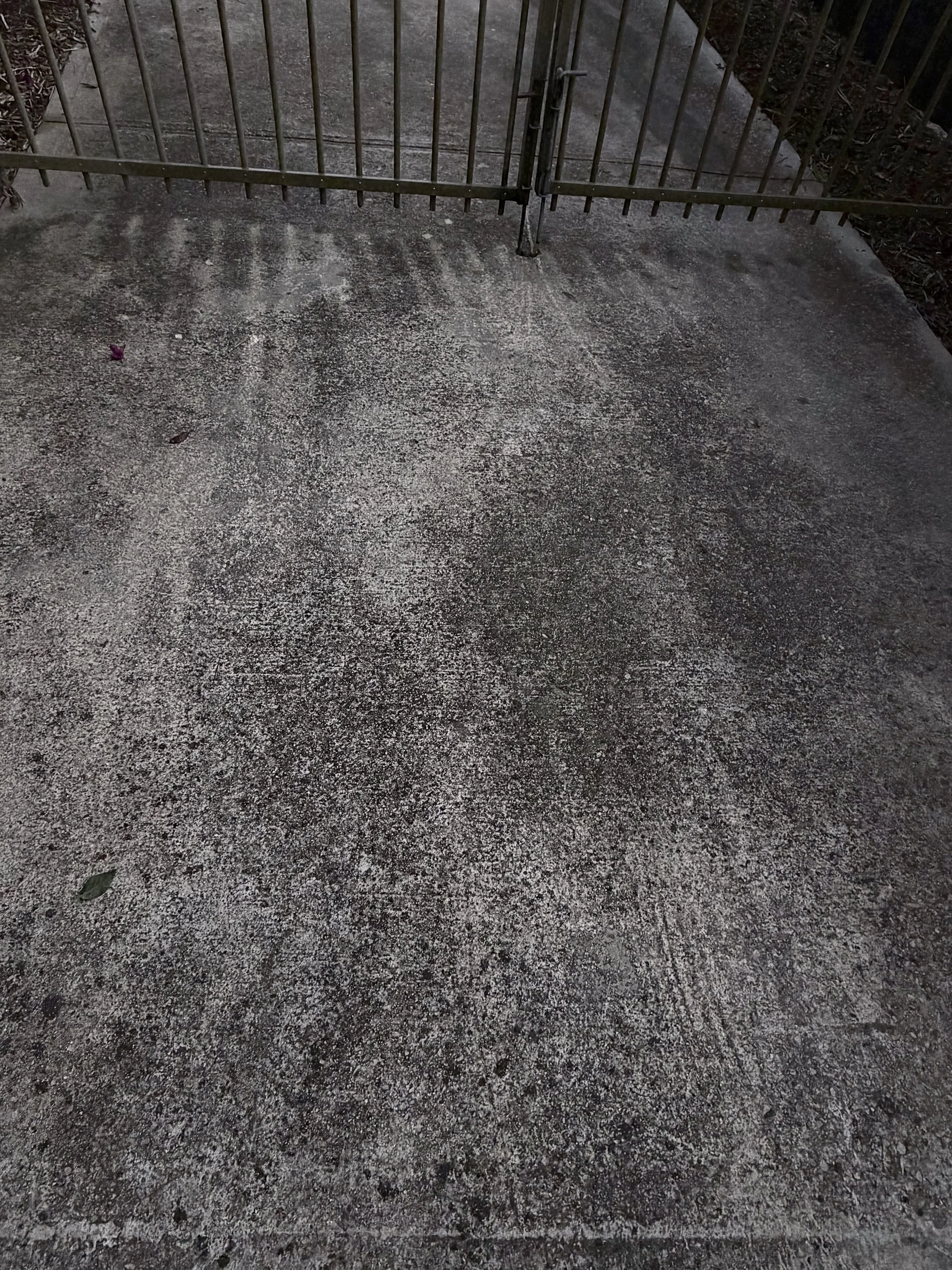 Mould covered driveway