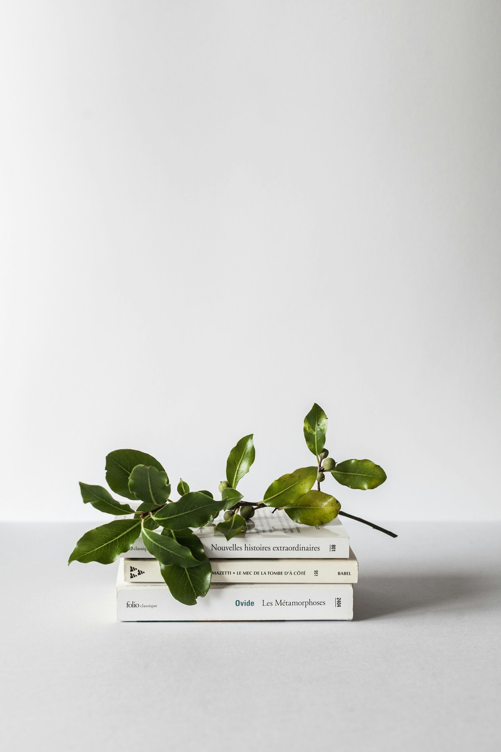 A small green branch with leaves rests atop a stack of books against a plain white background.