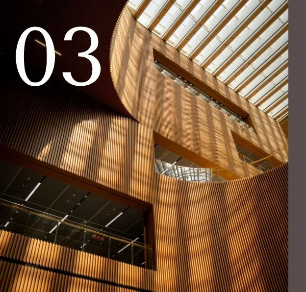 Interior view of a modern building with wooden panel walls, glass windows, and sunlight creating shadow patterns on the walls with the number 03 in the top corner.