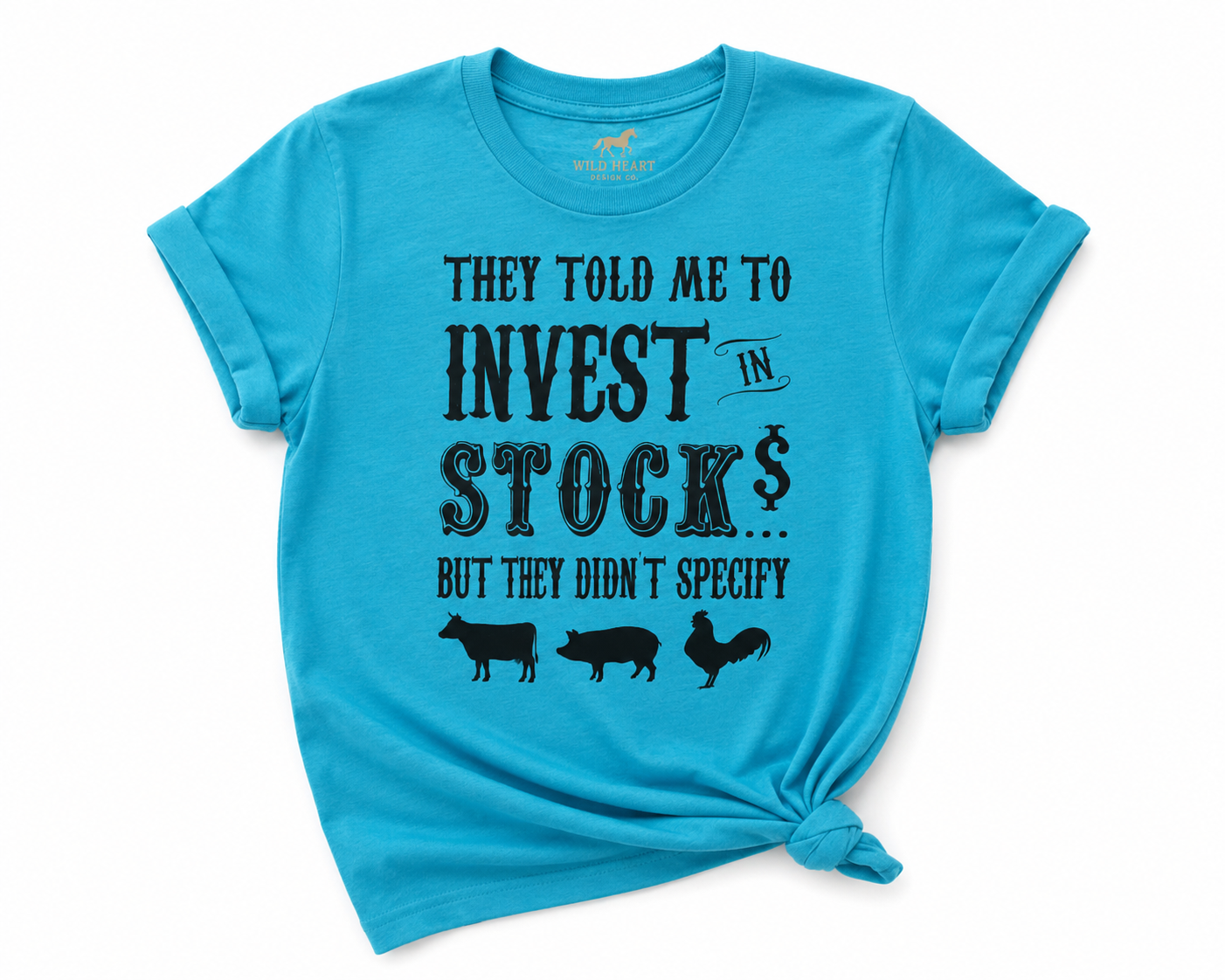 Invest in Stock