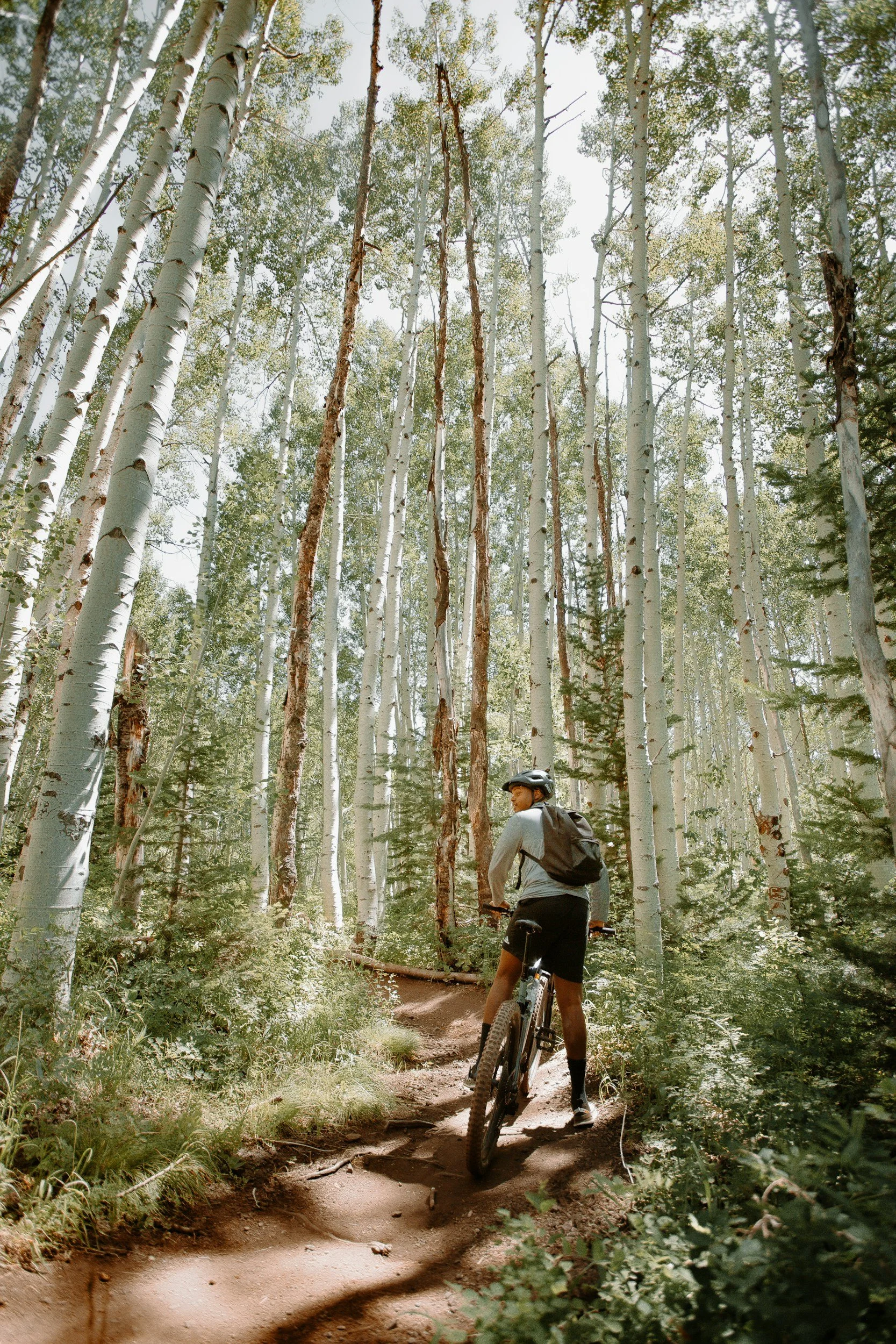 unsplash-image-pnvOQ2YSEDc.jpg
