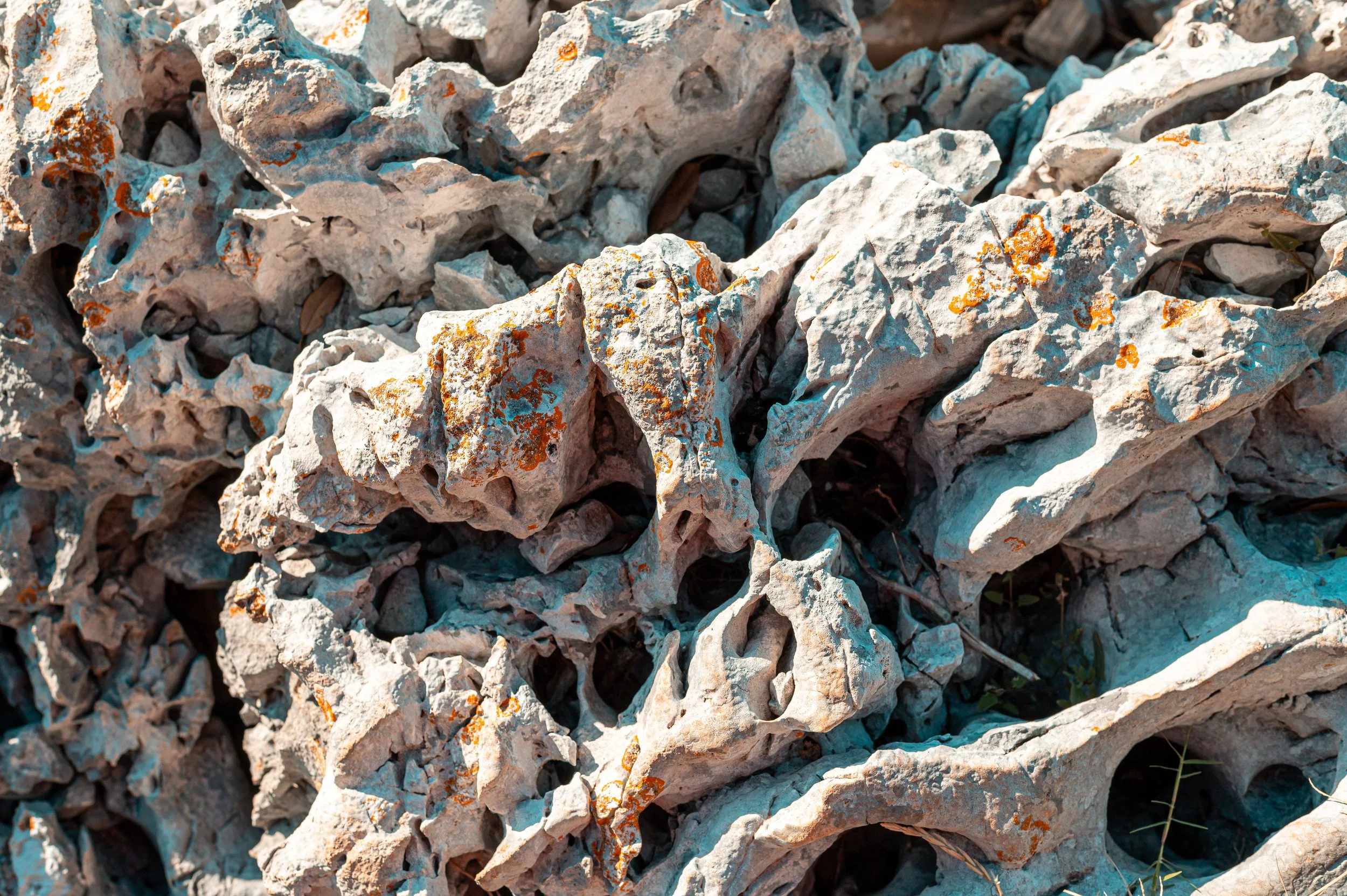 Close-up of gravel rocks with orange lichen growing on some surfaces.