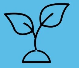 Simple line drawing of a plant with two leaves on a small mound, on a blue background.