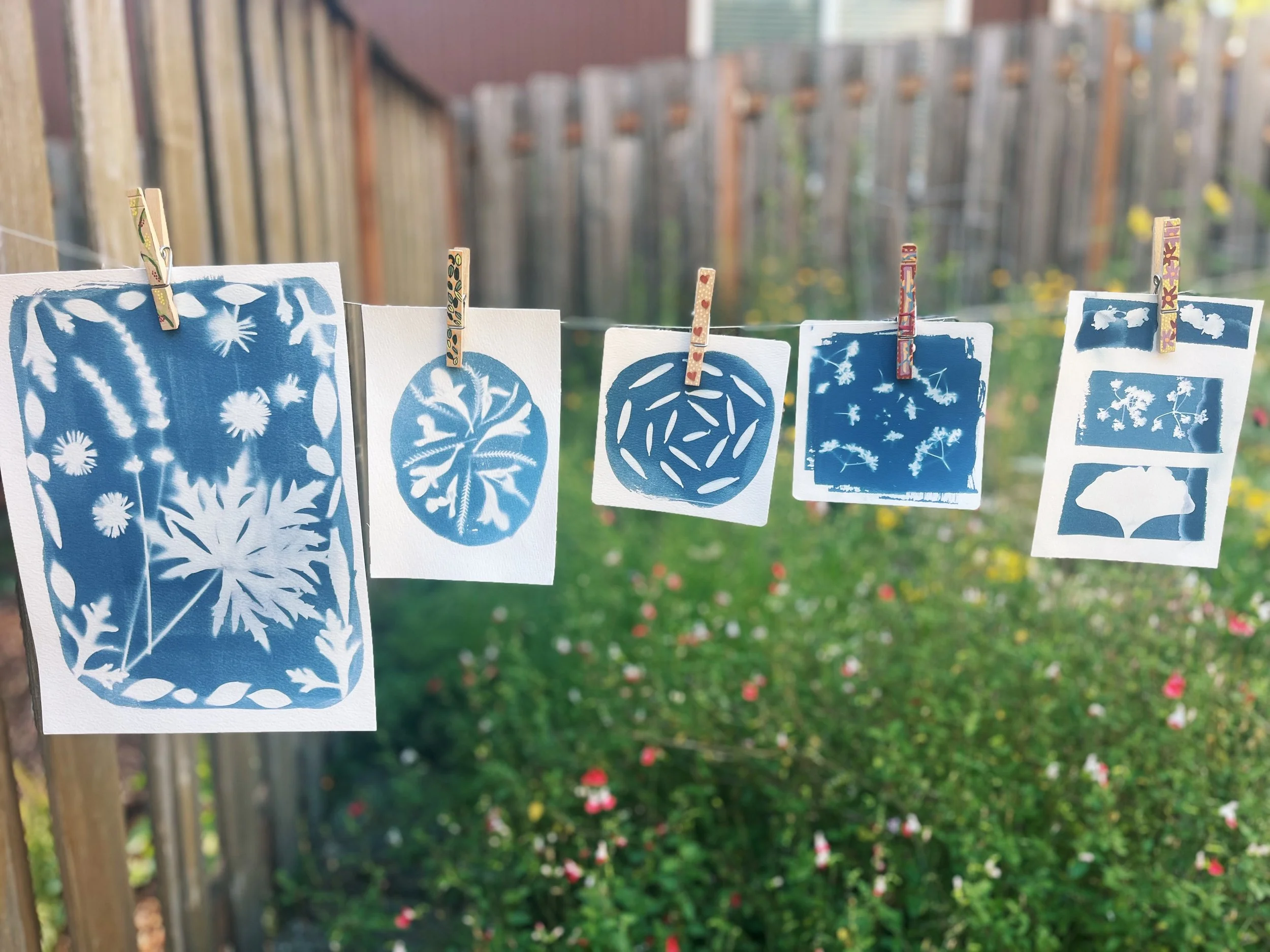Cyanotype Workshop at Sunflower Farm