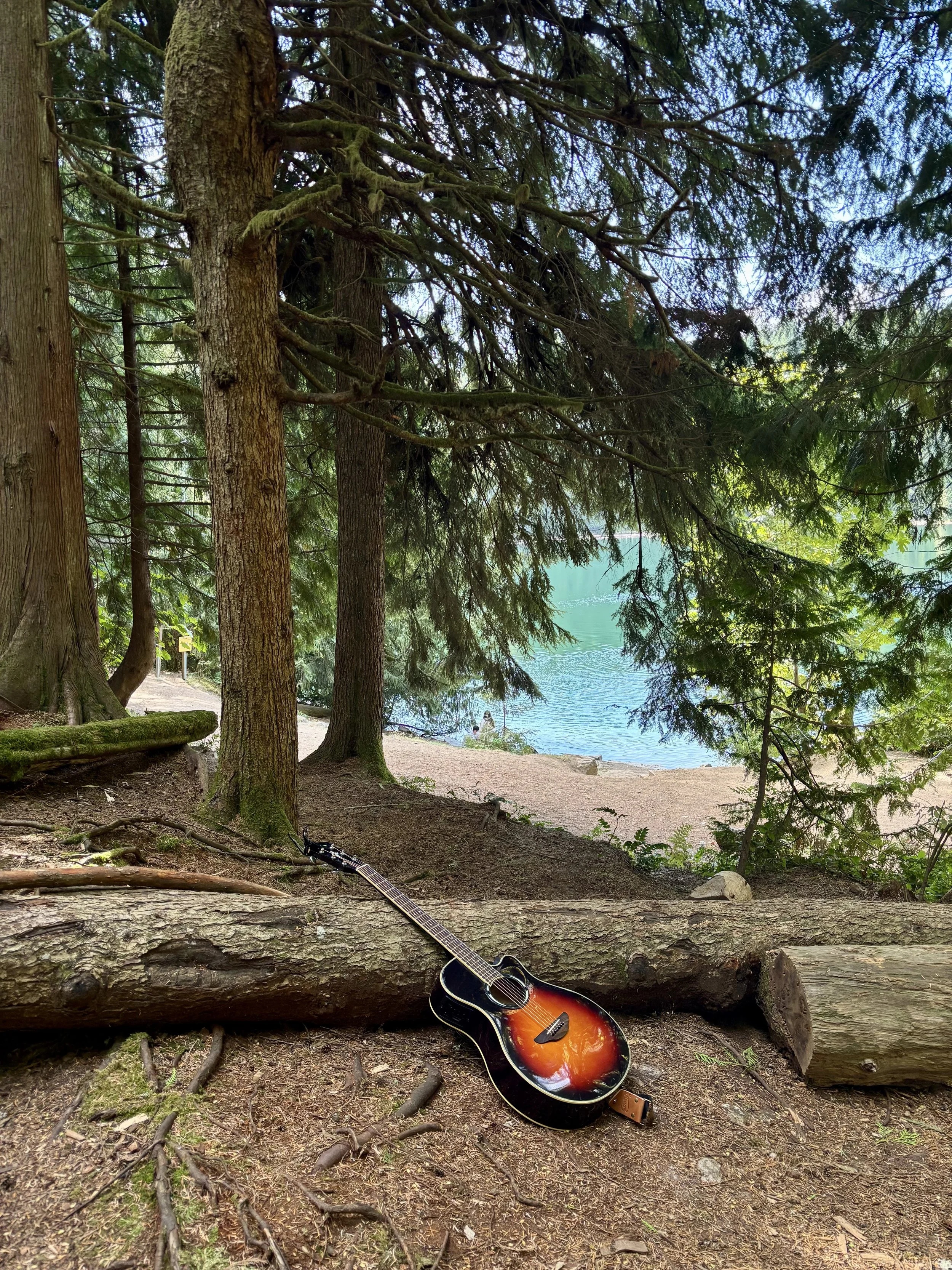 An acoustic guitar resting on a fallen tree trunk in a forest near a lake, with tall trees and lush greenery surrounding the area.