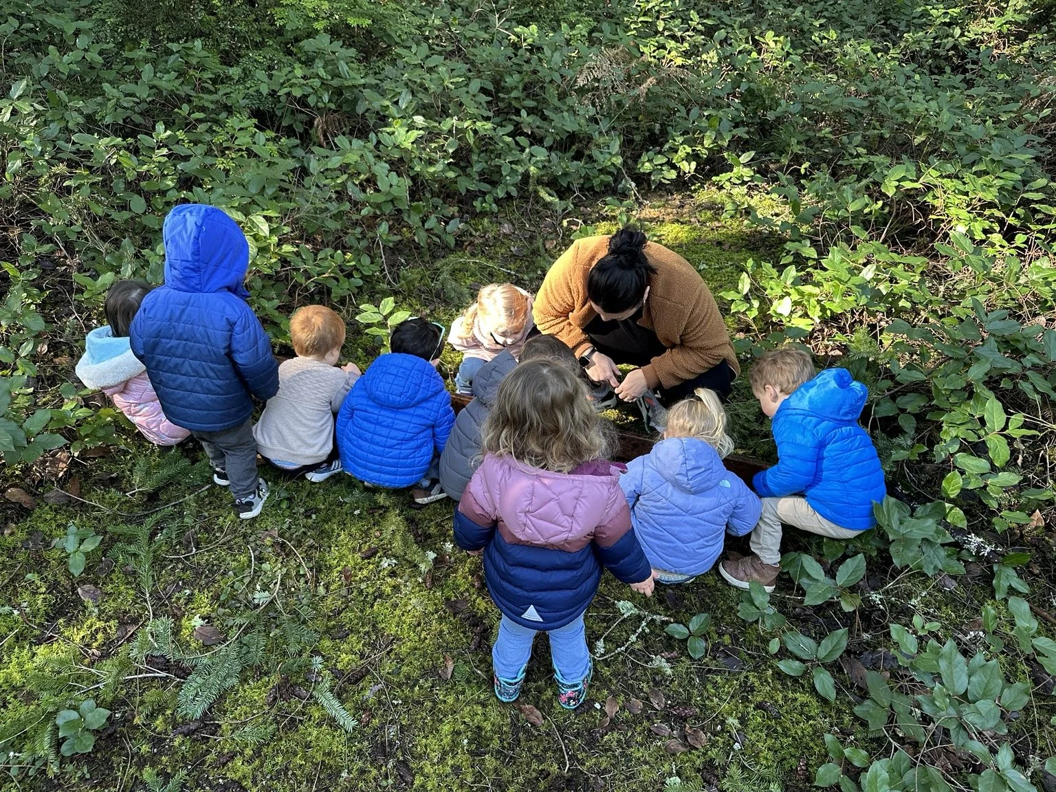 Children exploring nature with their teacher during outdoor learning.