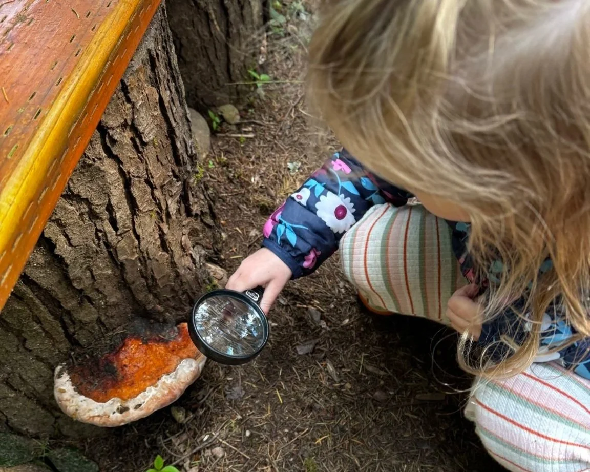 Preschool student investigating mushrooms during a hands-on nature exploration activity.