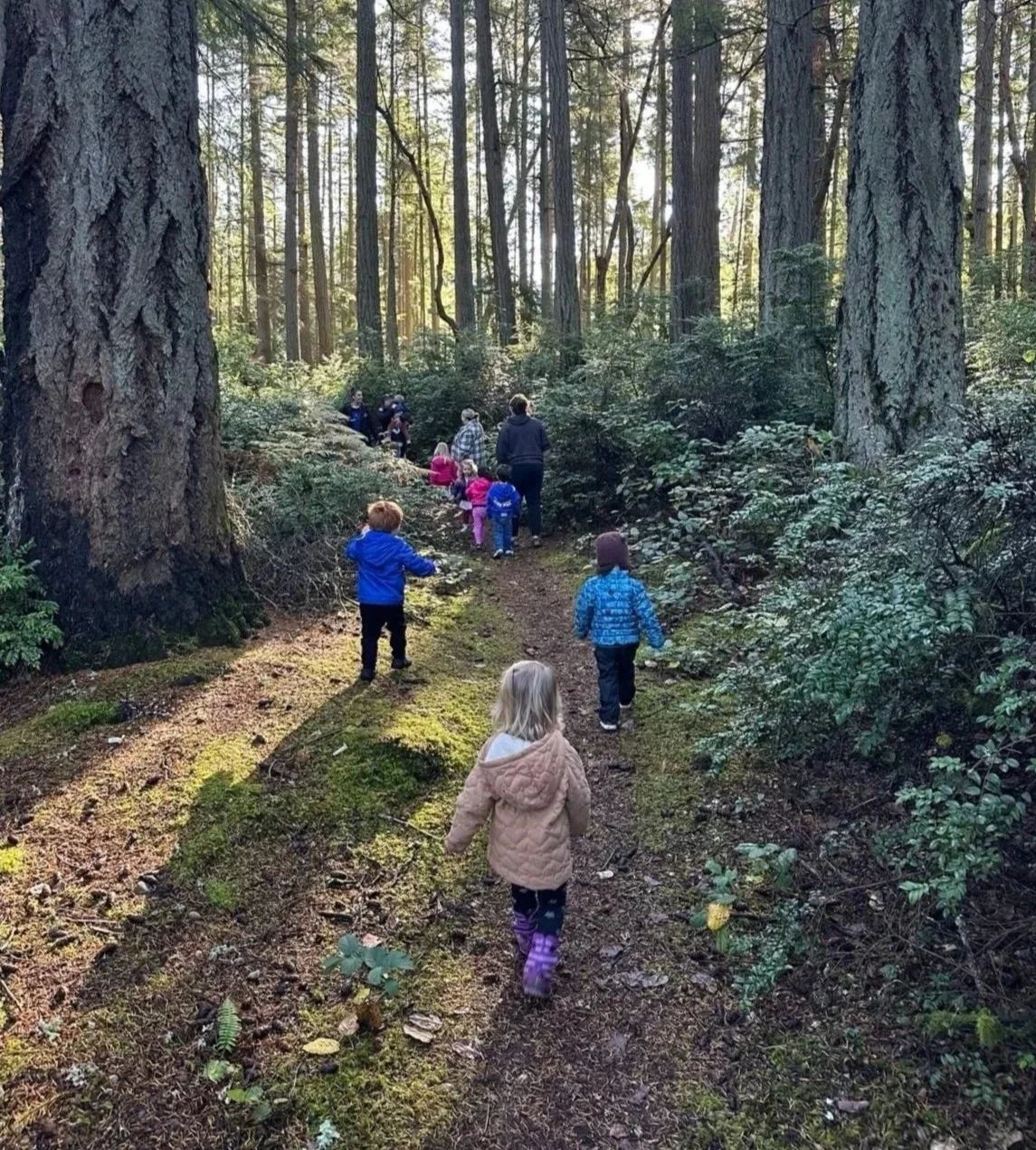 Children and parent volunteers hiking and discovering nature during outdoor exploration.