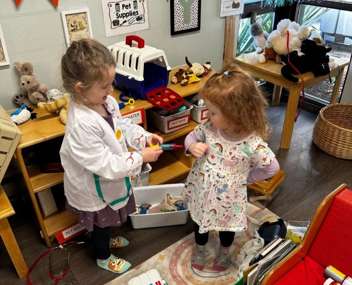 Children engaging in imaginative veterinarian-themed dramatic play.
