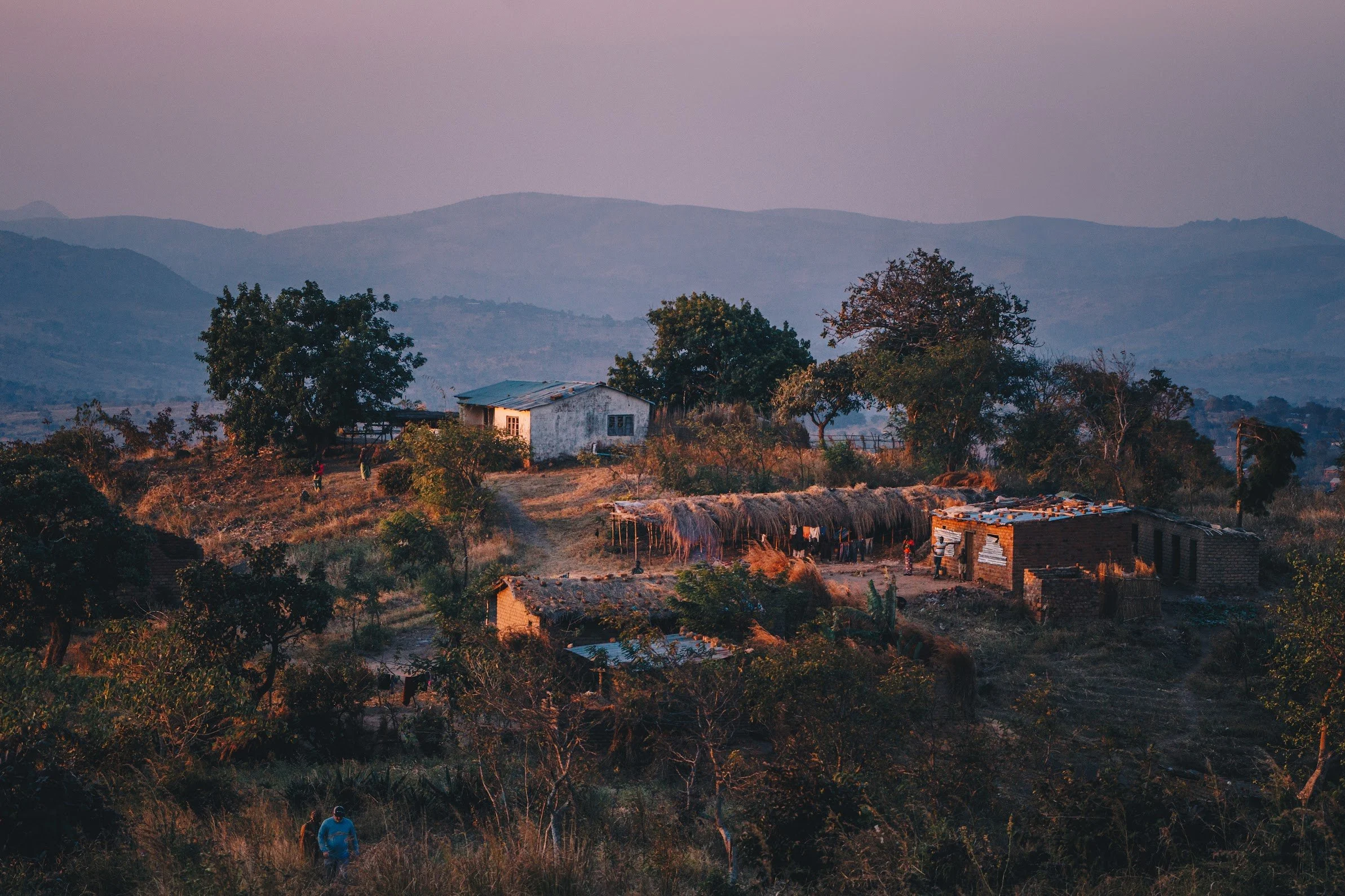 IMG_1559.jpg