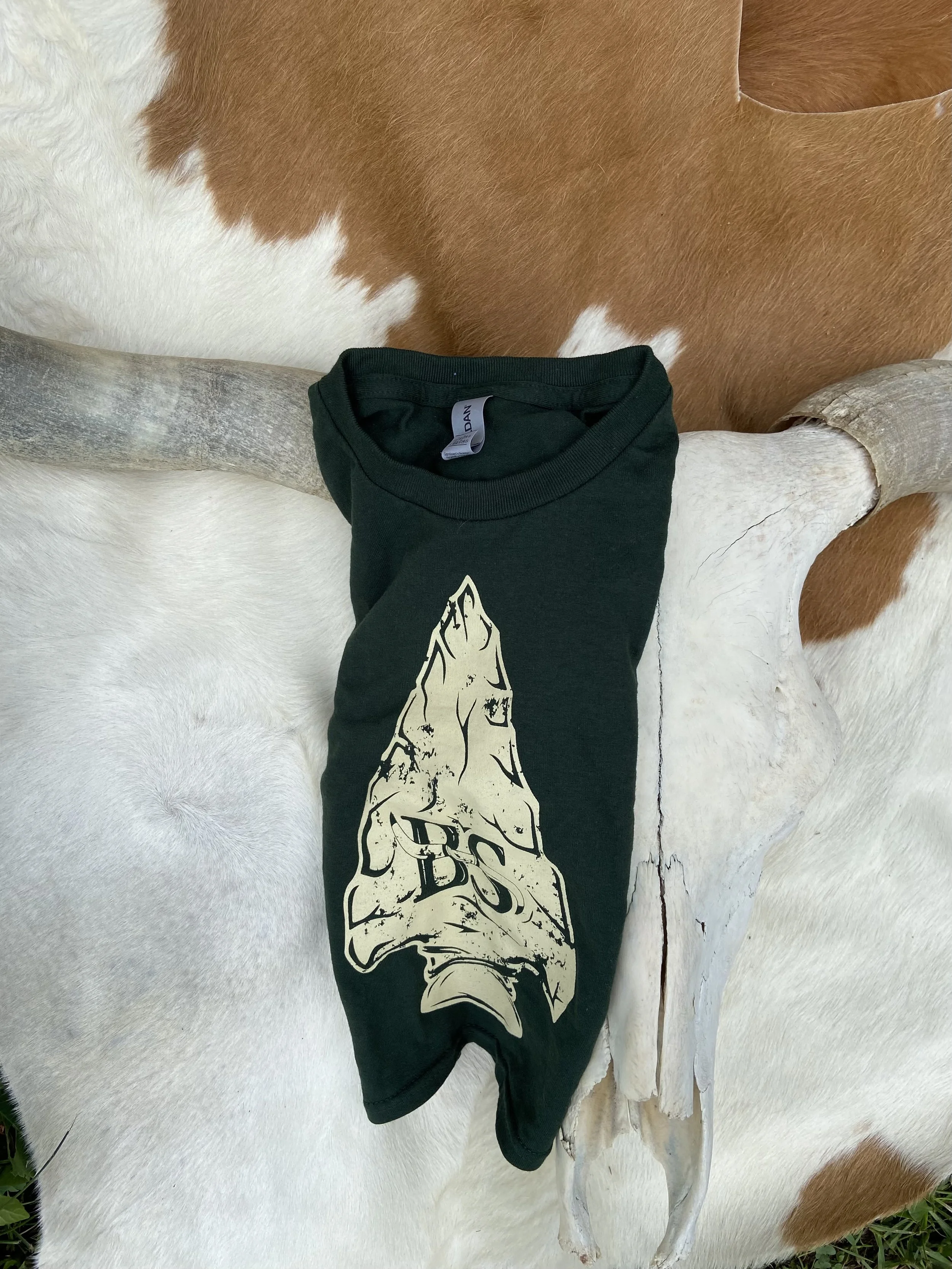 BS Arrowhead