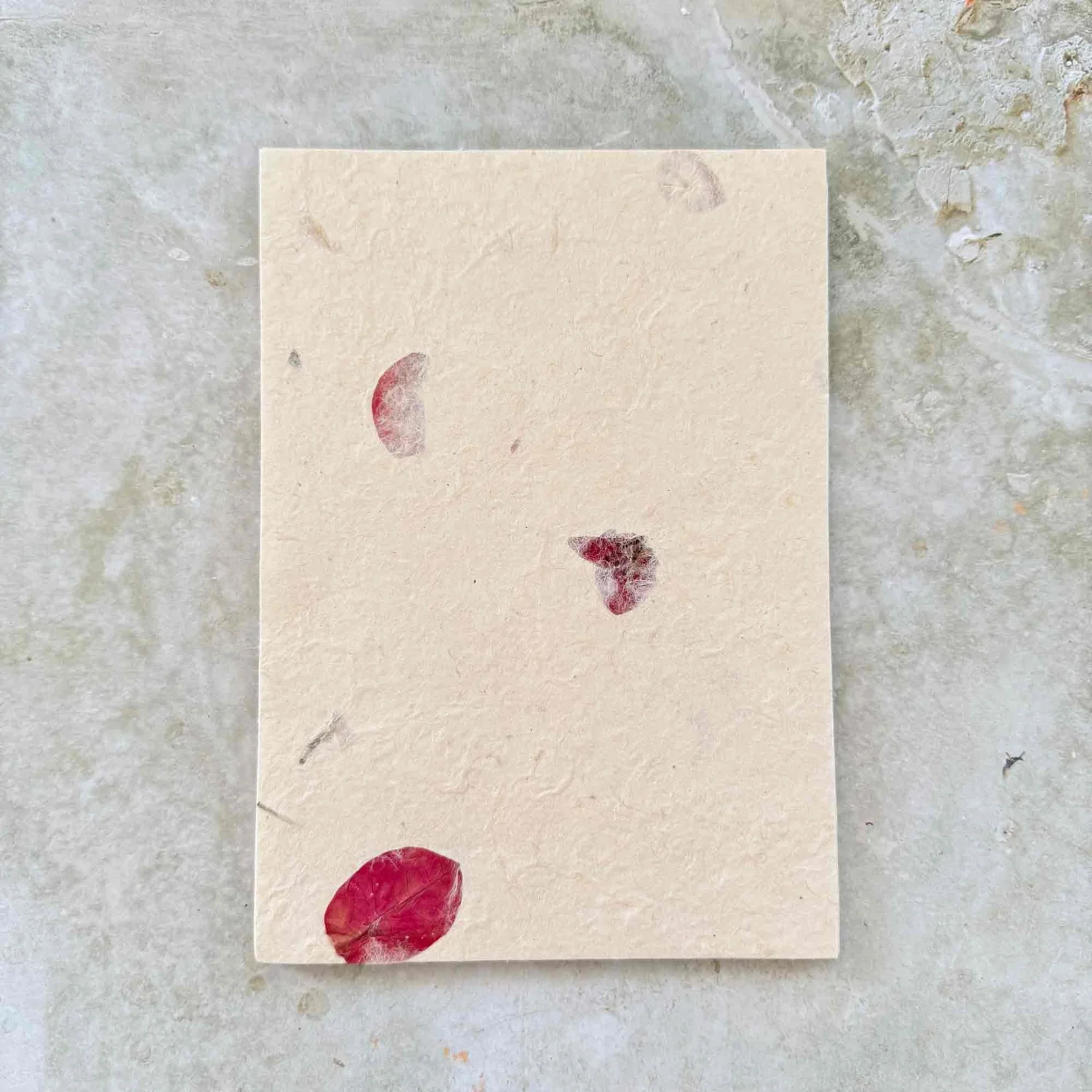 napalese cotton paper only.webp