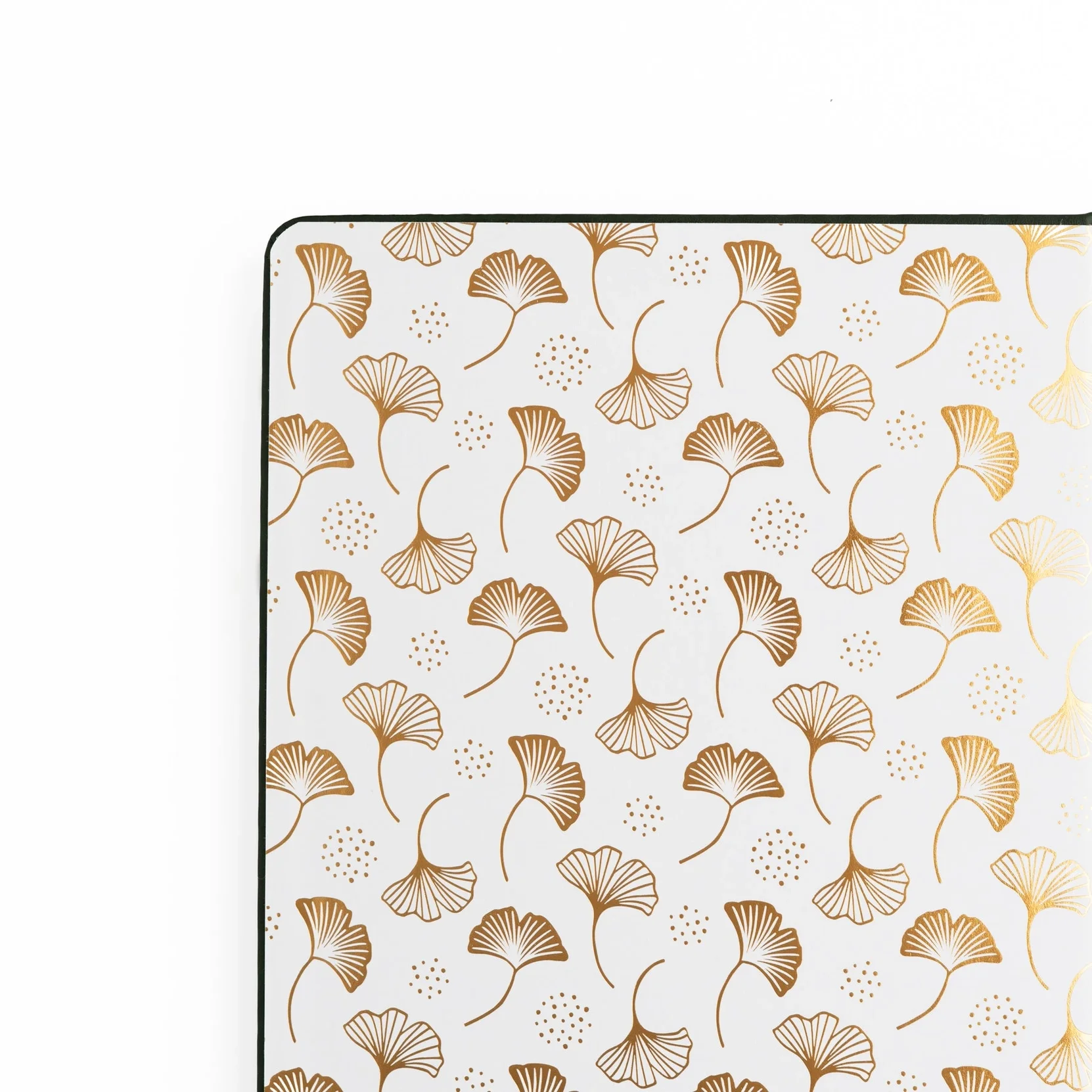 ginkgo PS inside.webp