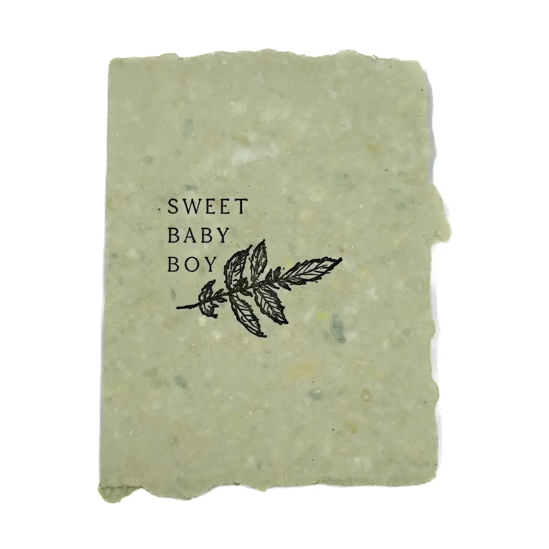 Sweet Boy.webp